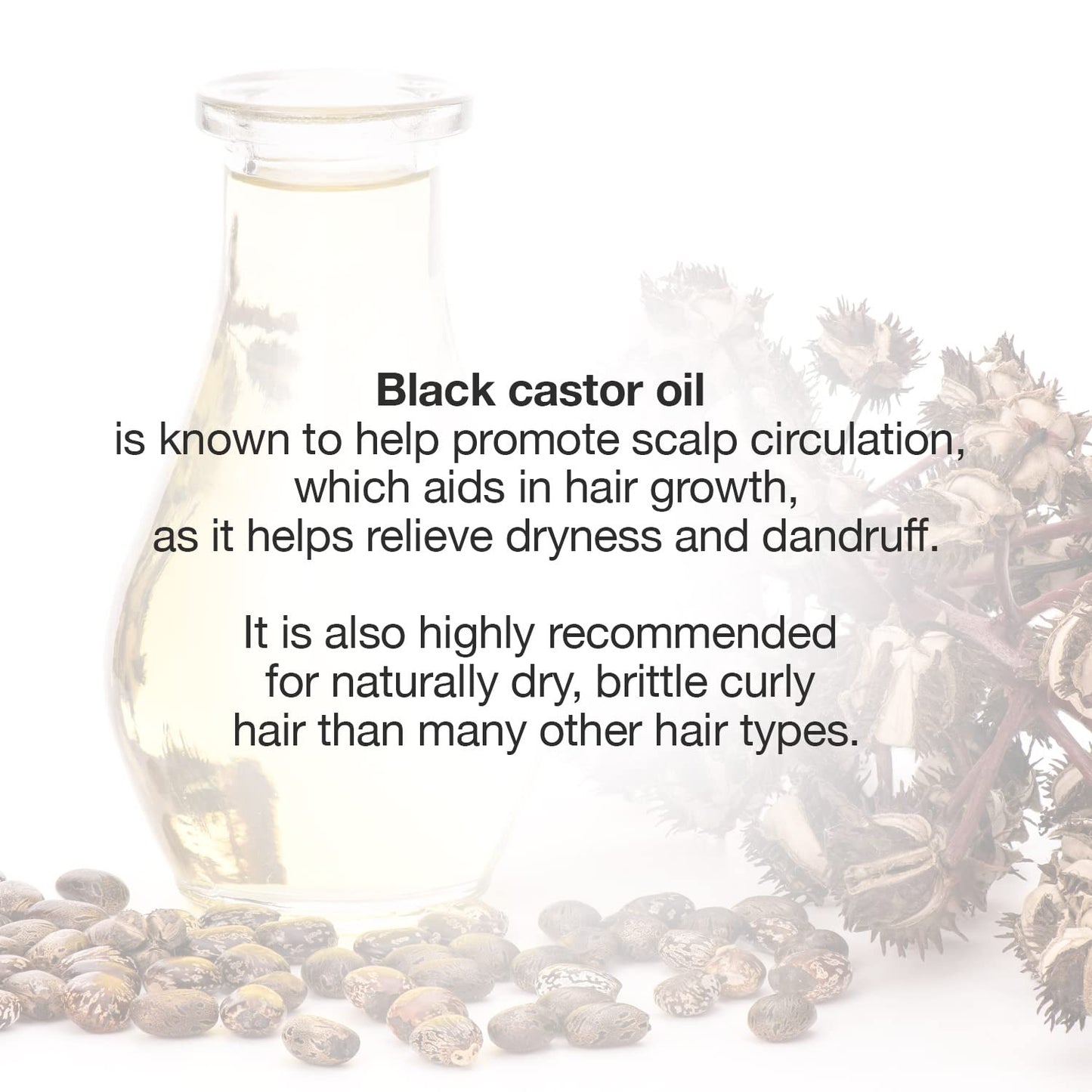 STAR CARE Extra Strength Jamaican Black Castor Oil (with Tea Tree Oil) for Hair Growth (4oz) - 100% Virgin JBCO Infused with Biotin & Niacin - Scalp Beauty & Personal Care STAR CARE