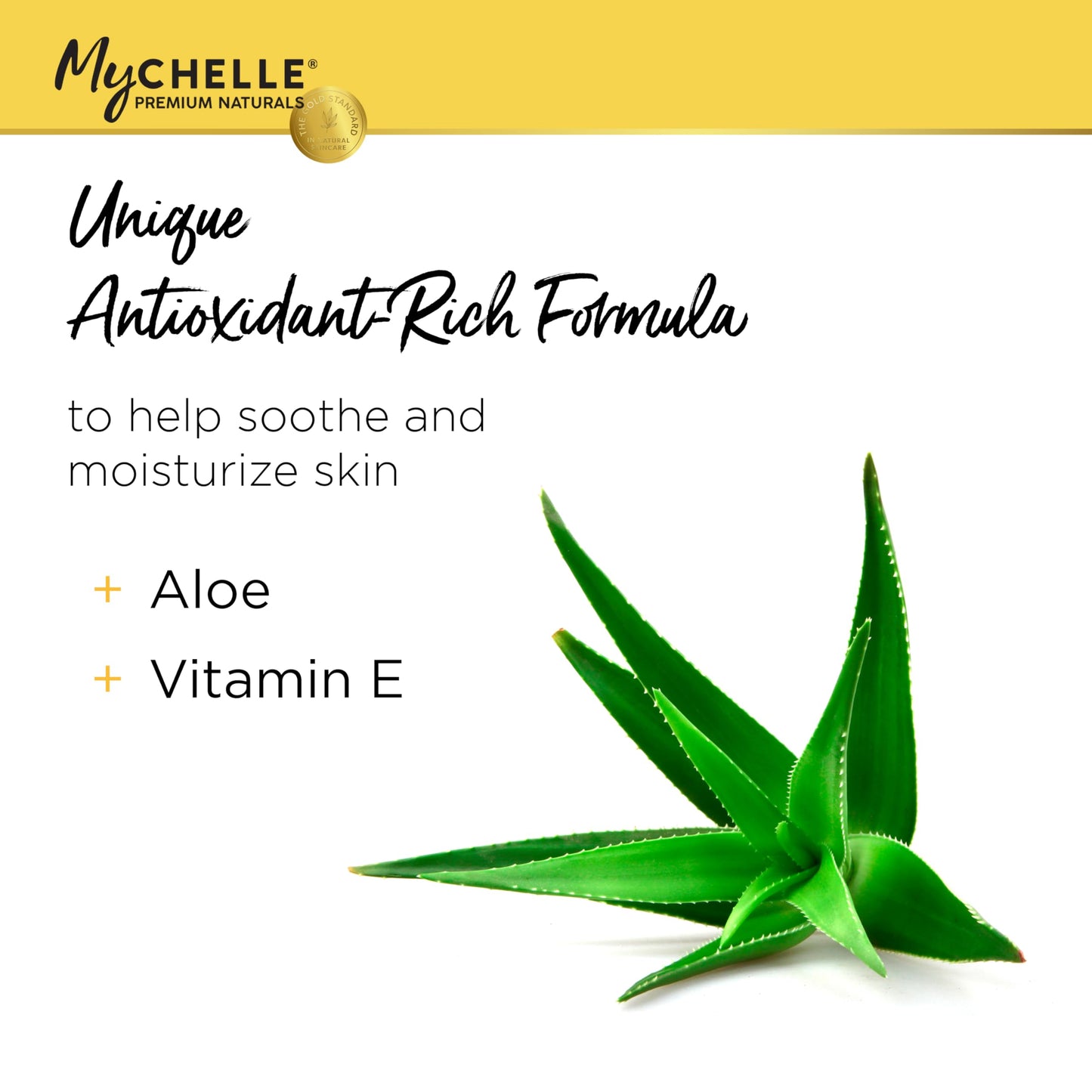 MyCHELLE Dermaceuticals Sun Shield SPF 28 Coconut (2.3 Fl Oz) - Soothing Reef Safe Sunscreen with Vitamin E and Aloe - Travel Size Zinc Sunscreen Beauty & Personal Care MyChelle Dermaceuticals