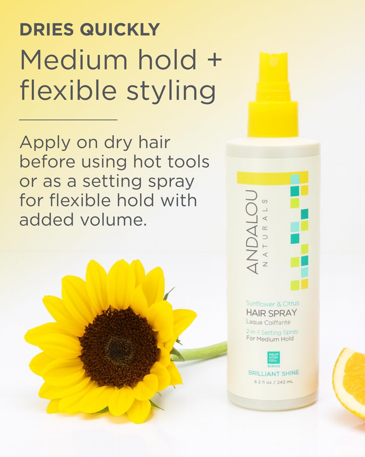 Andalou Naturals Hair Spray Prfct Hold Snf Beauty & Personal Care Andalou Naturals