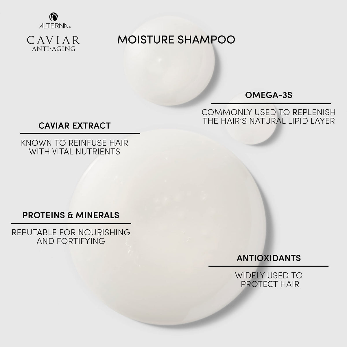 Alterna Haircare CAVIAR Anti Aging Replenishing Moisture Shampoo, 8.5 Fl Oz (Pack of 1) Beauty & Personal Care Alterna