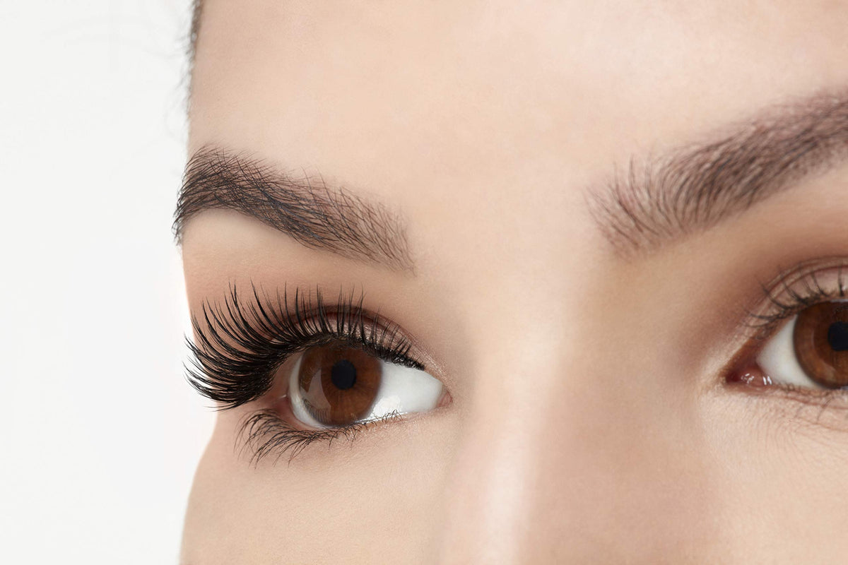 Ardell Faux Mink Wispies Beauty & Personal Care Ardell