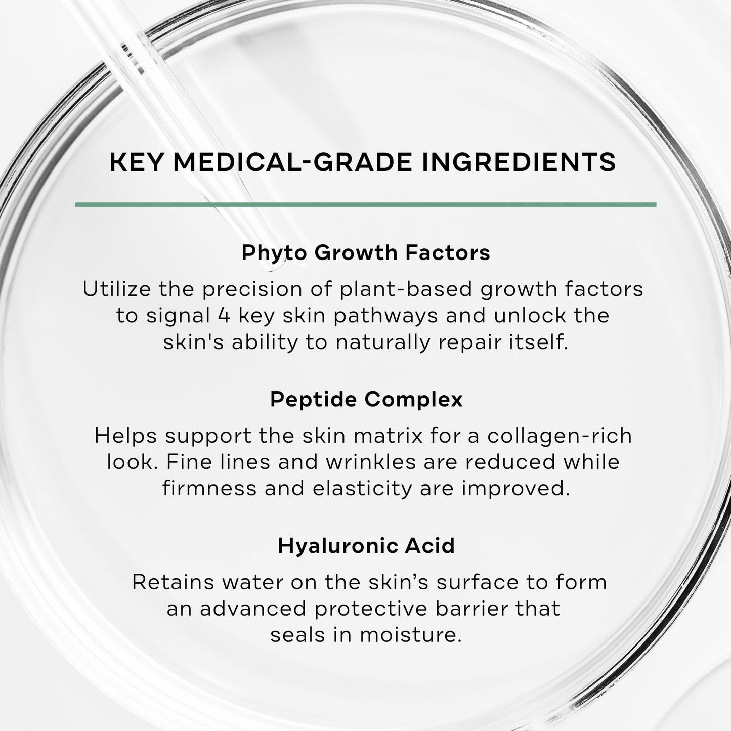 Replenix Growth Factor Restorative Facial Serum, Anti-Aging Treatment with Medical-Grade Ingredients for Mature Skin (1 fl. oz) Beauty & Personal Care Replenix