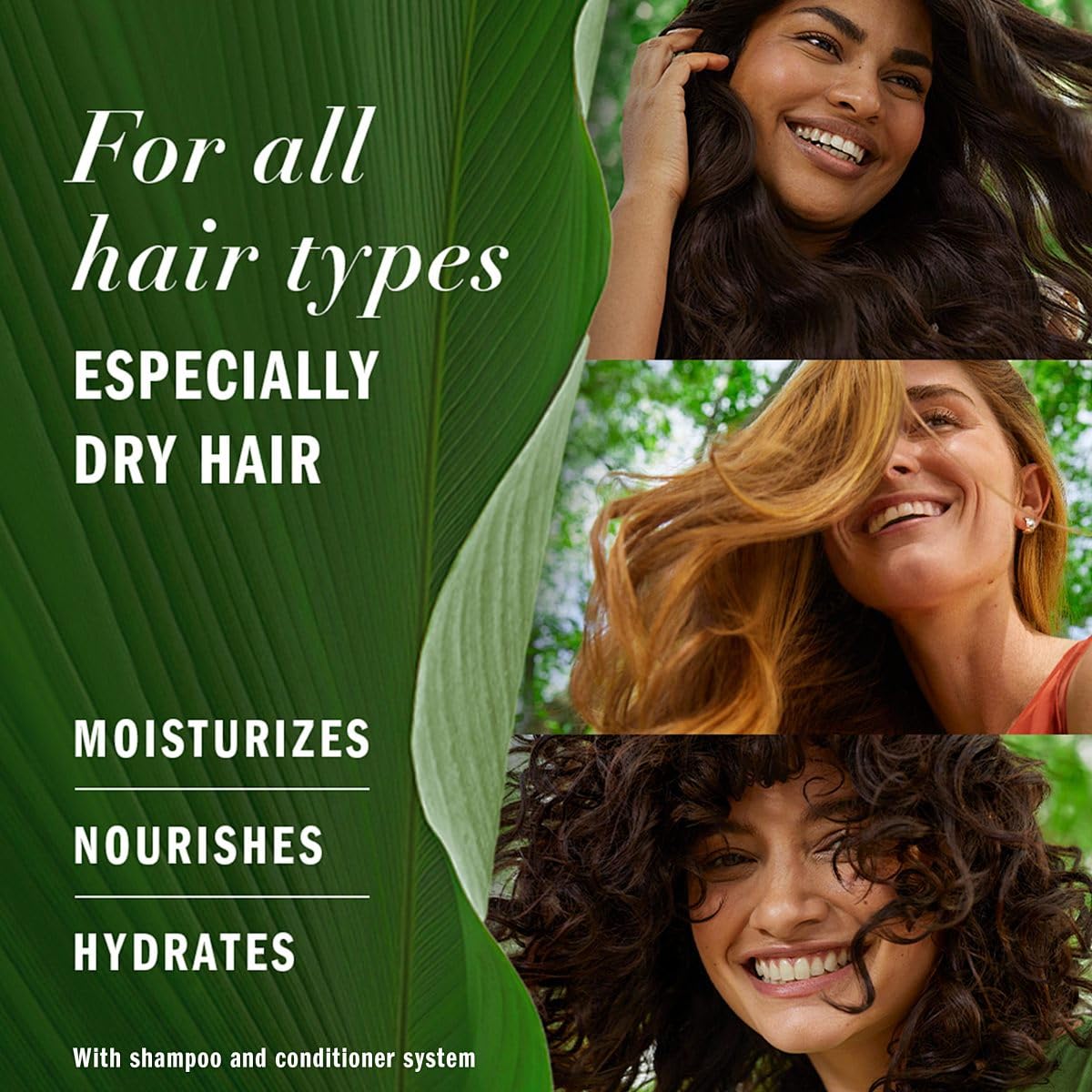 Dr. Healdy Batana Oil for Hair Growth and Nourishment-100% Raw Unrefined Batana from Honduras,Strengthens, Moisturizes, Reduces Hair Beauty & Personal Care Dr. Healdy