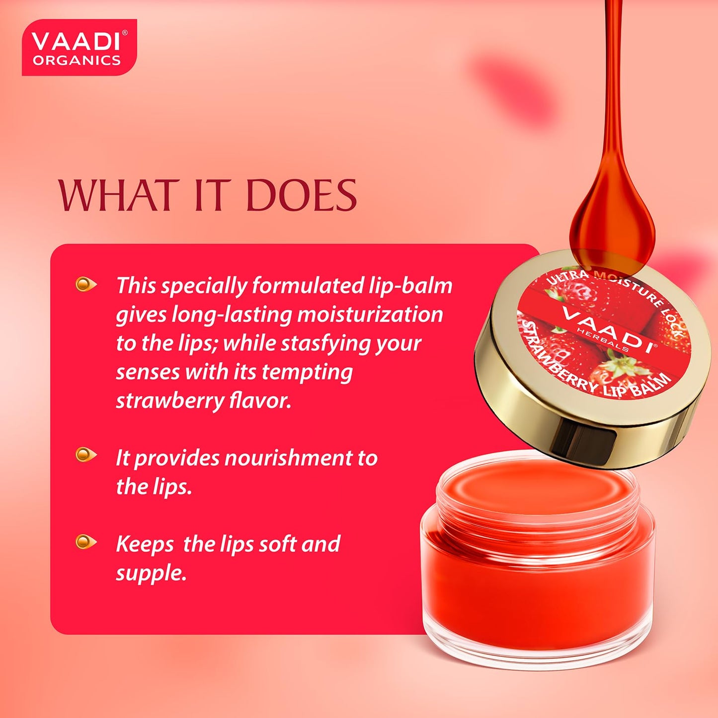 Vaadi Herbals Lip Balm, Strawberry and Honey, 10g (Pack of 4) Beauty and Personal Care Vaadi Herbals