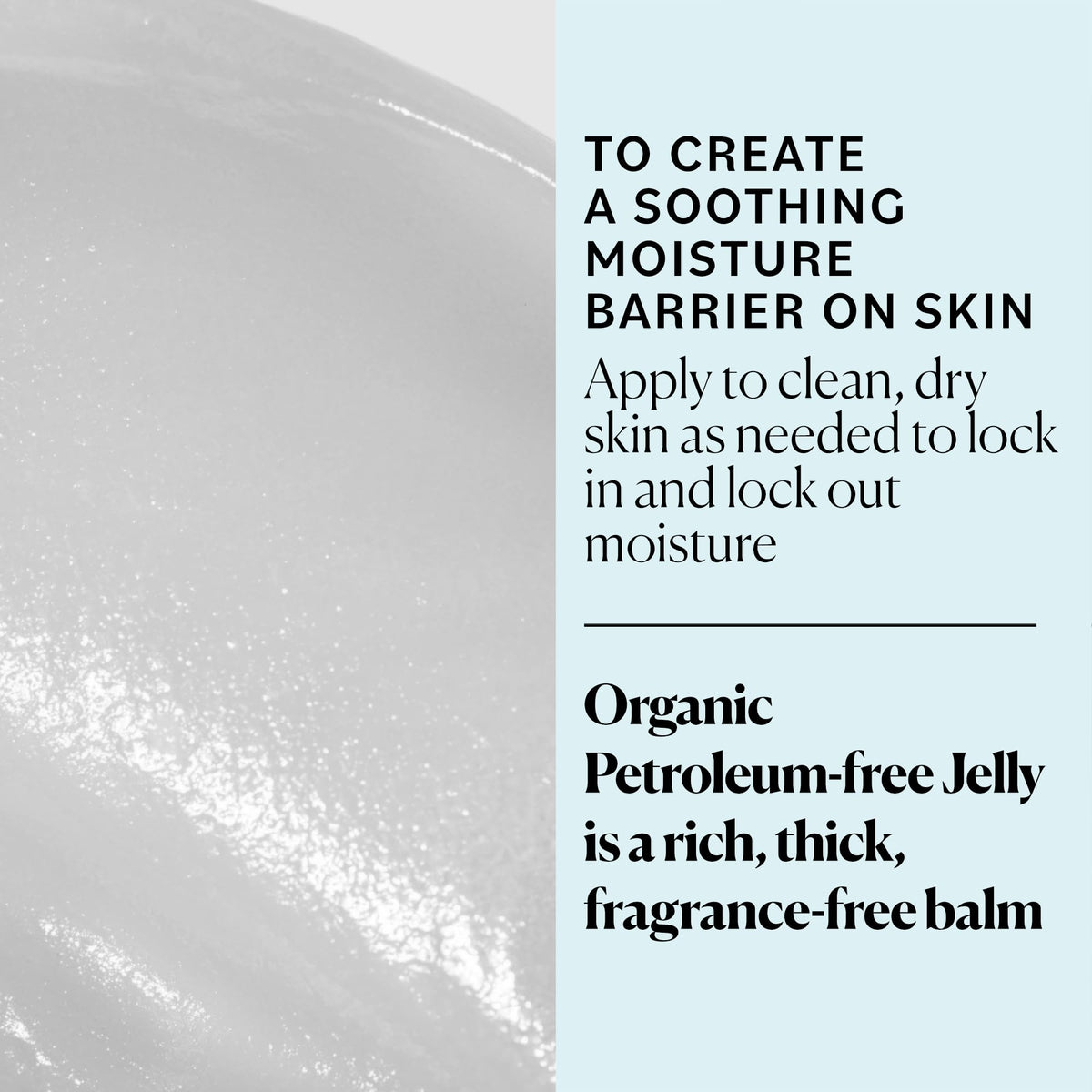 Sky Organics Organic Petroleum-free Jelly, Multi-Purpose Skin Care Balm with Organic Shea Butter, Coconut Oil, Olive Oil & Vitamin E, Moisturizing Lip Beauty & Personal Care Sky Organics