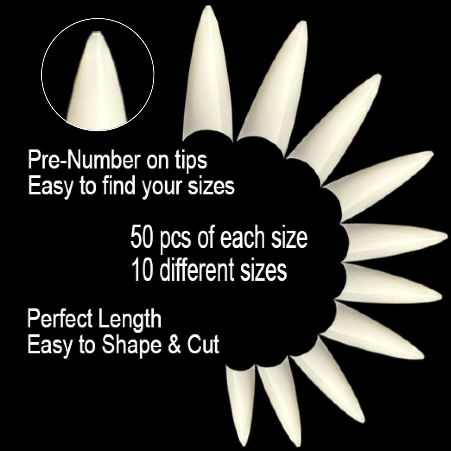 Vivace 2PACK Natural/Clear Stiletto 500 Acrylic False Fake Gel Nail Tips (Total 1000Tips) 10Sizes With Clear Acrylic Case For Nail Salon Nail Shop Beauty & Personal Care Vivace