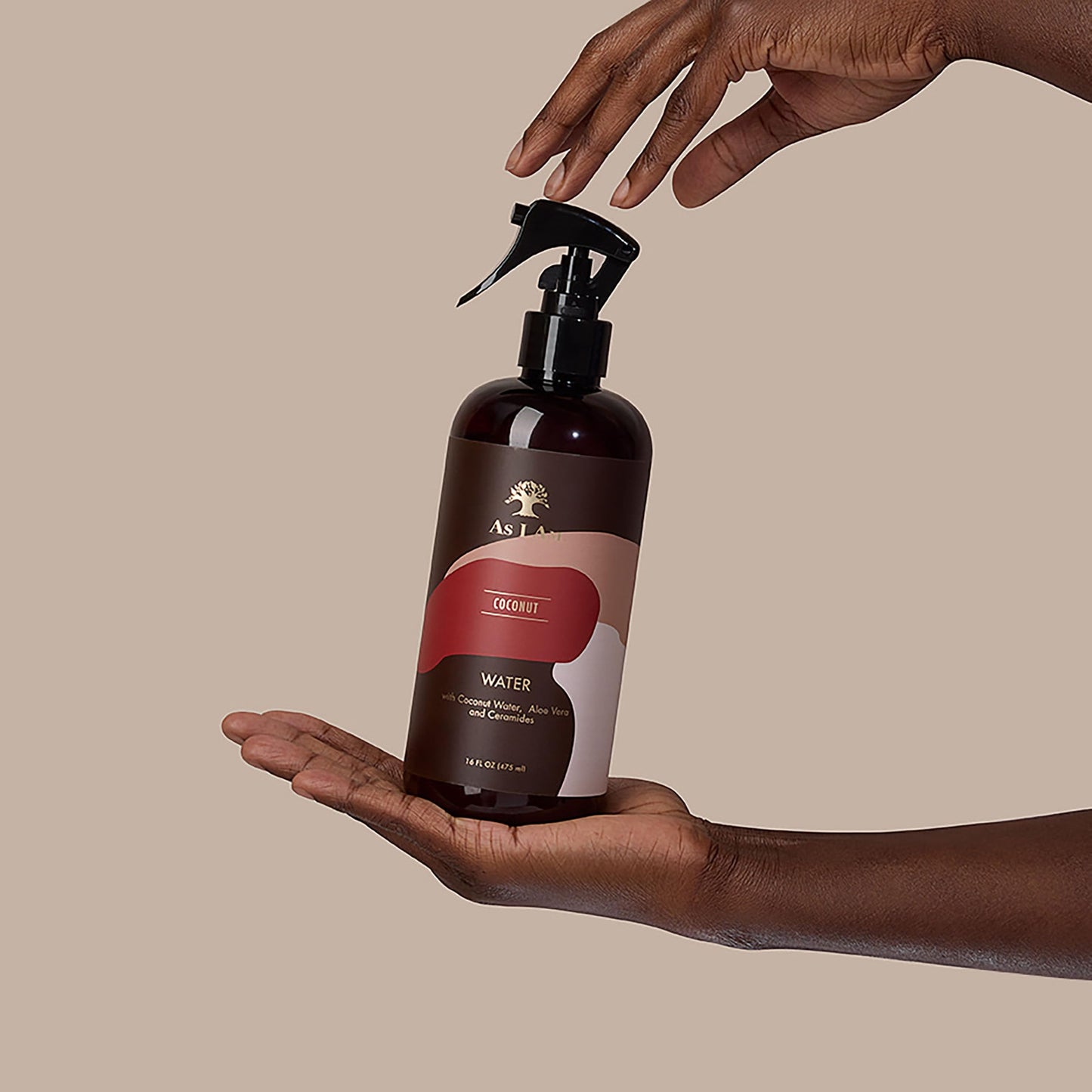 As I Am Coconut Water 16 fl oz - with Coconut, Aloe Vera and Ceramides - Supports healthy-looking hair and scalp Beauty & Personal Care As I Am