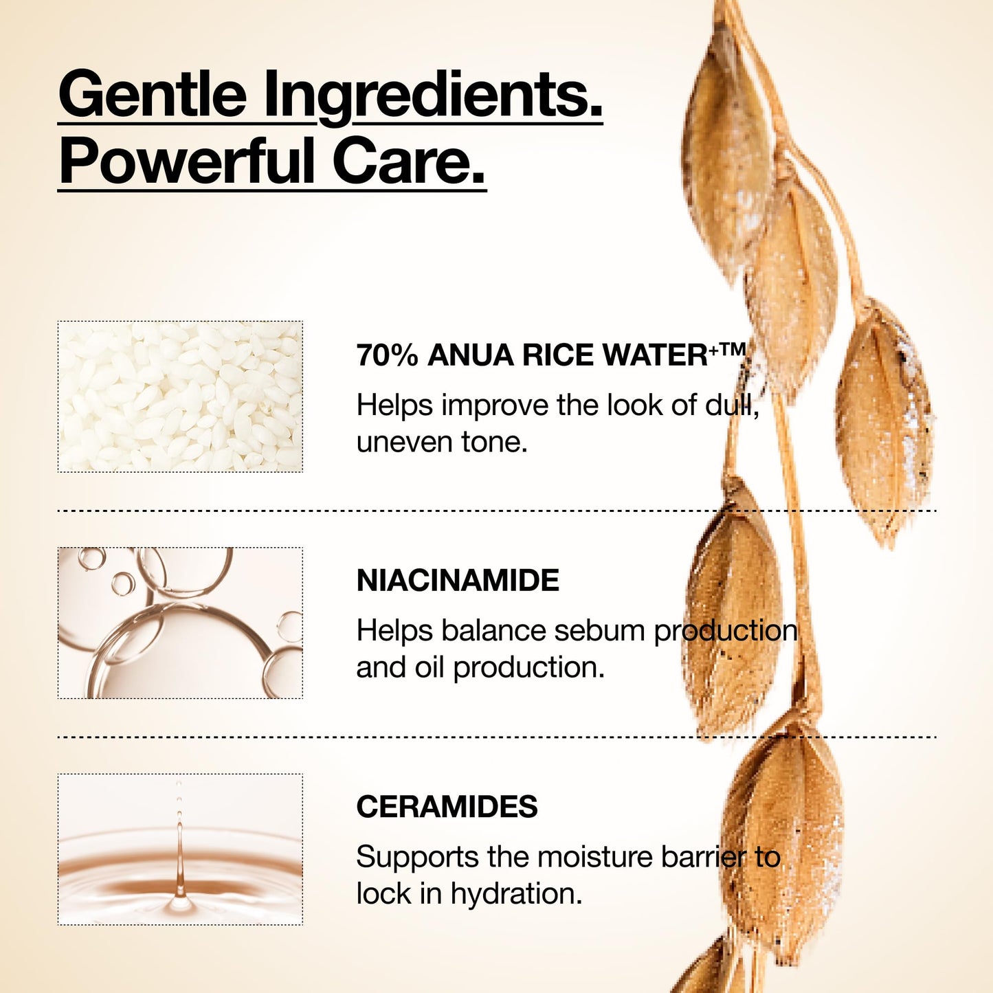 Anua Rice 70 Glow Milky Toner, Glass & Dewy Skin, Hydrating & Barrier Care, Rice Water, Niacinamide, Ceramides, All Skin Types, Fragrance-Free, Non Beauty and Personal Care ANUA