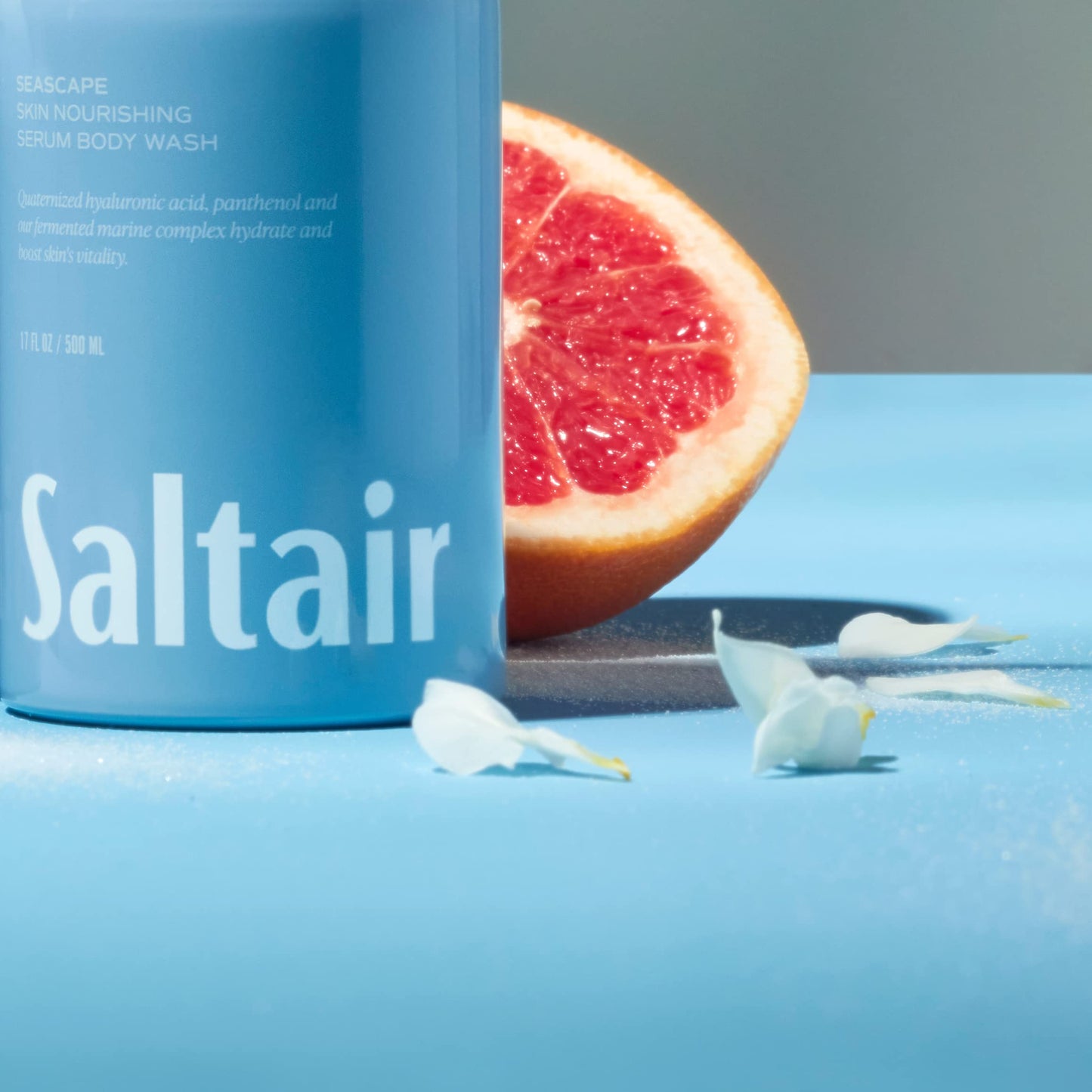 Saltair - Body Wash (Seascape) (Pack of 1), 17.0 Fl Oz Beauty & Personal Care Saltair