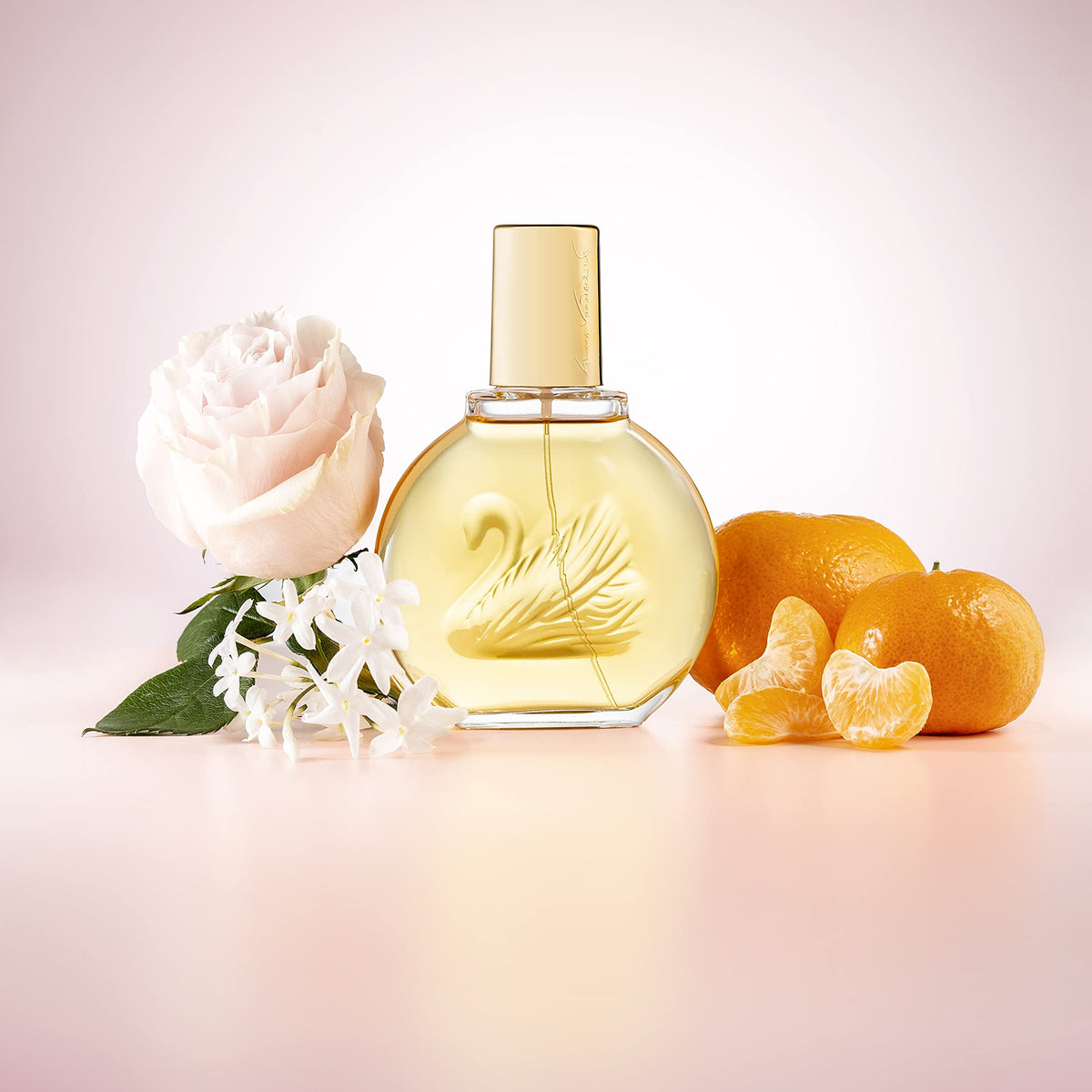 VANDERBILT by Gloria Vanderbilt for WOMEN: EDT SPRAY 1 OZ Beauty & Personal Care VANDERBILT