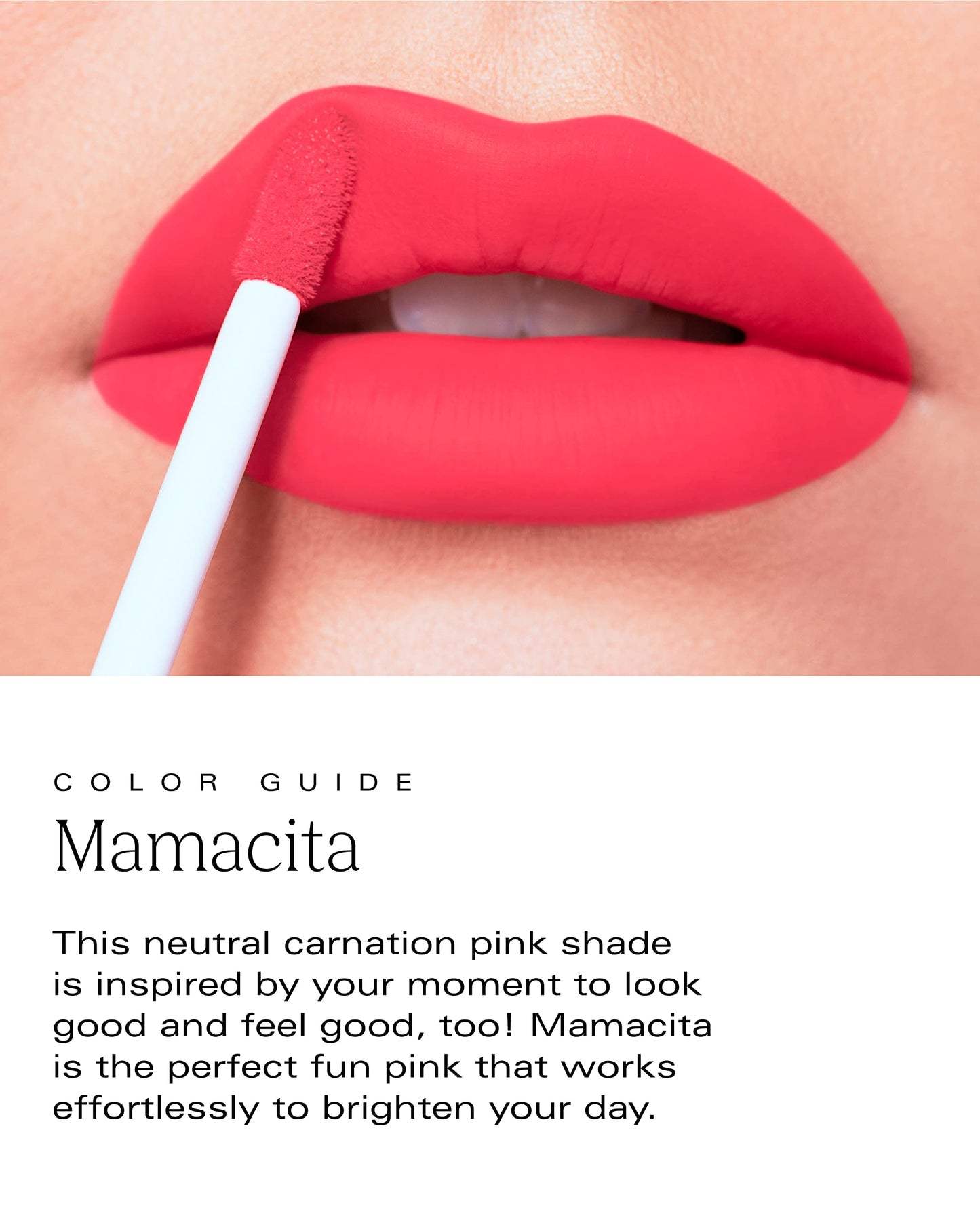 Bold Aspirations Vegan Liquid Lipstick Beauty & Personal Care PDL Cosmetics