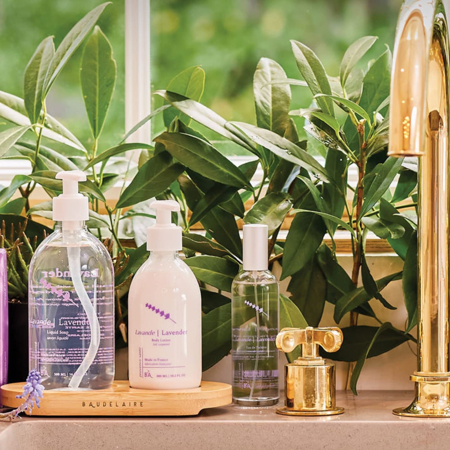 Provence Sante Liquid Soap & Lotion Bamboo Tray Gift Set - Moisturizing Hand Soap & Anti Aging Body Lotion Hydrating Fragrance Restore Dry Skin Beauty & Personal Care Provence Sante