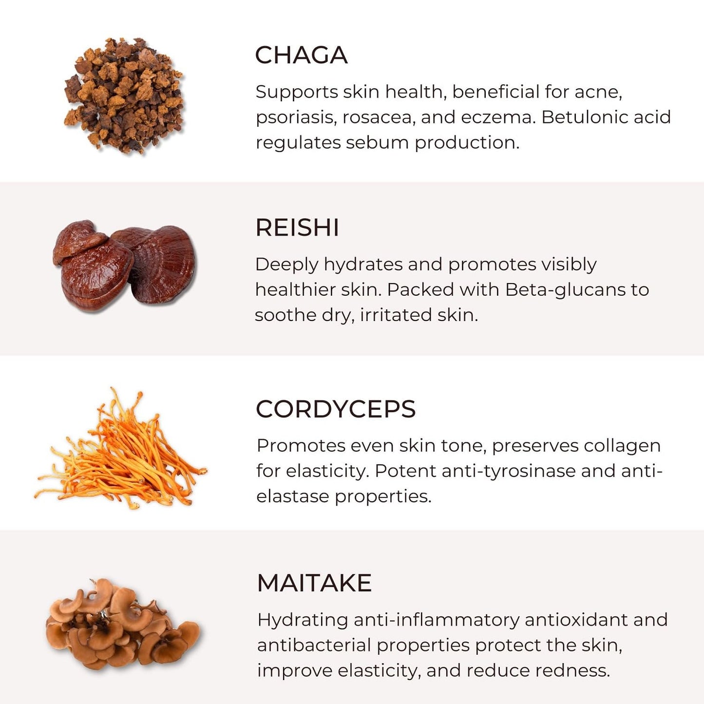 Shroom Skincare Mycelium Glow Mushroom Brightening Vitamin C Face Serum Facial Moisturizer - All Skin Types Vegan Serums for Skin Care Anti Aging Beauty & Personal Care Shroom Skincare