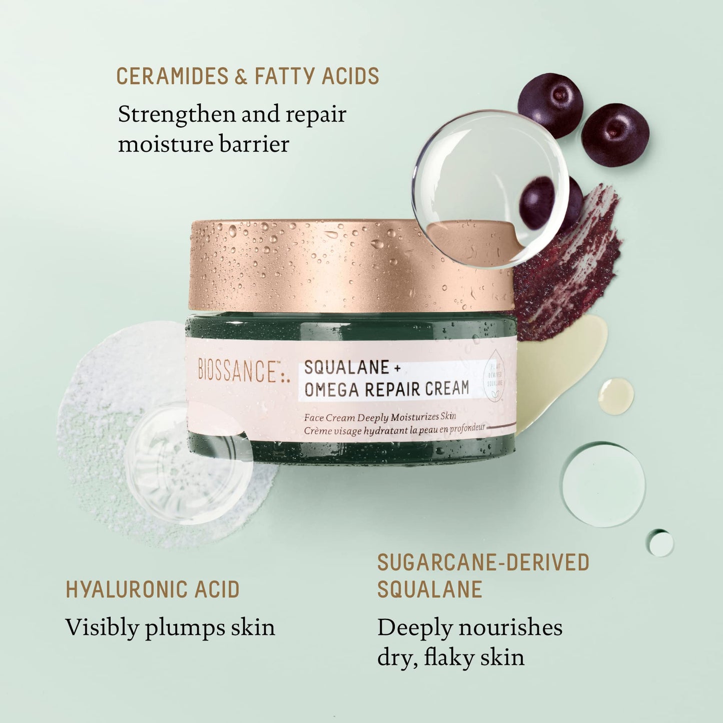 BIOSSANCE Squalane + Omega Repair Cream - Ultra-Moisturizing Face Cream - Skin Care with Hyaluronic Acid, Ceramides, Squalane - Ideal for Dry Beauty & Personal Care BIOSSANCE