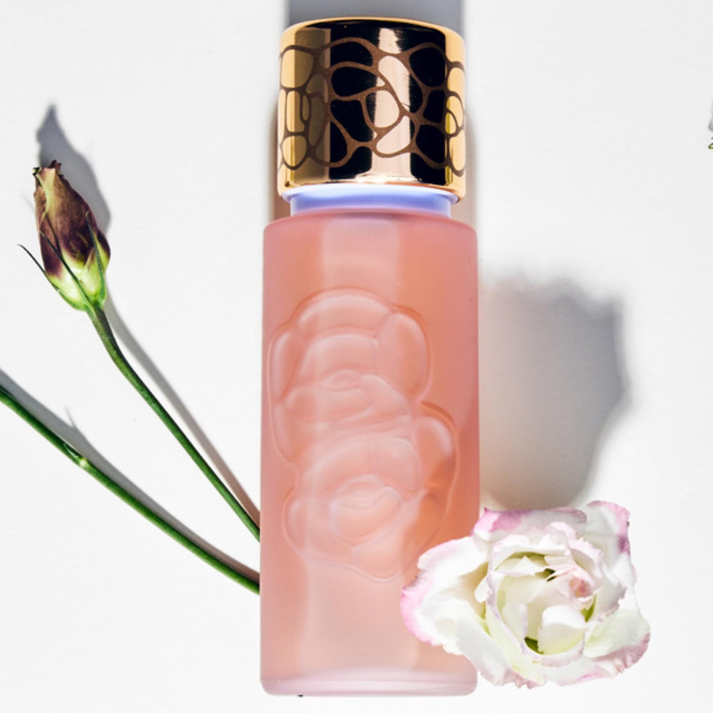 Houbigant, Quelques Fleurs Royale Eau de Parfum, 50ml Beauty & Personal Care Houbigant