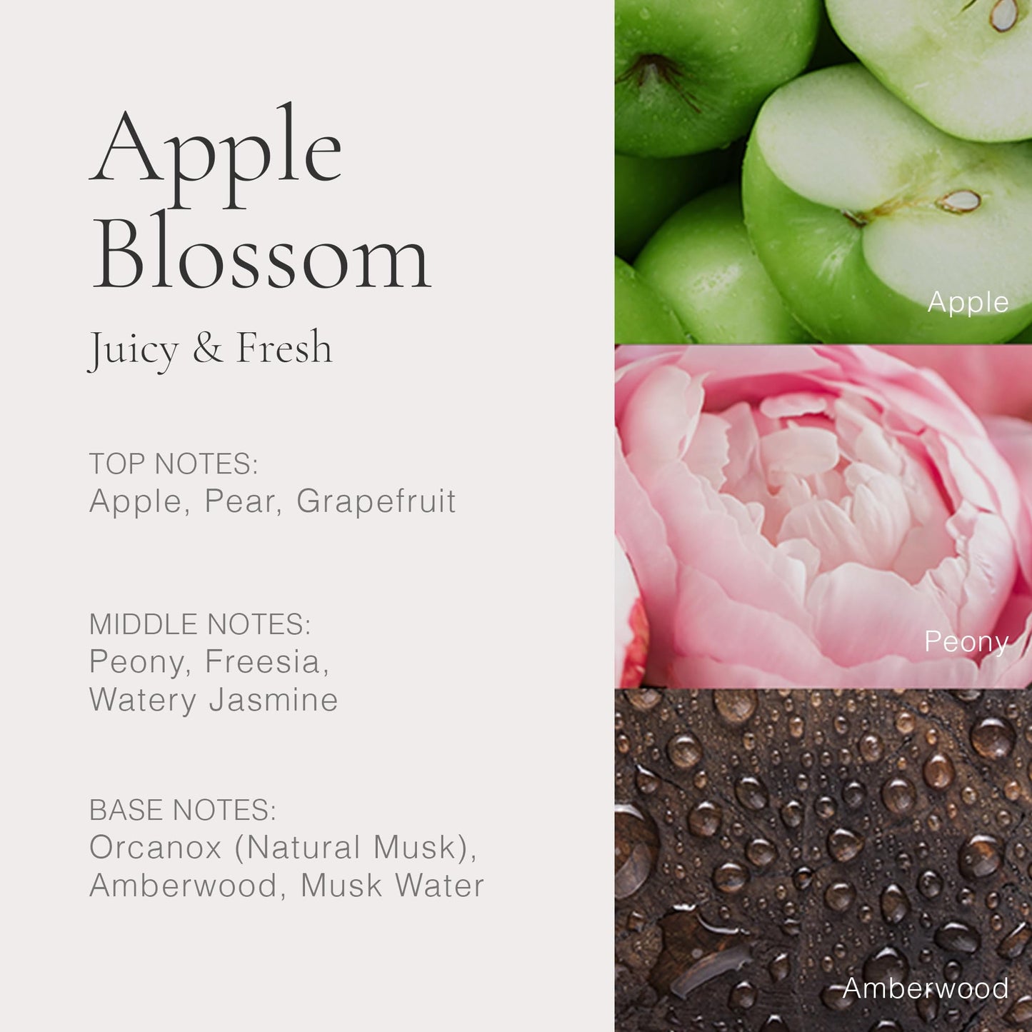 CLEAN CLASSIC Apple Blossom 30mL Beauty & Personal Care CLEAN