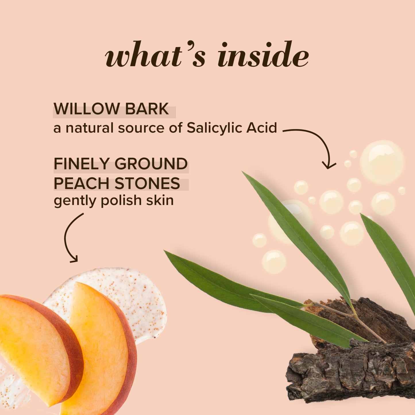 Burt's Bees Peach and Willow Bark Deep Pore Exfoliating Facial Scrub, 4 Oz (Package May Vary) Beauty & Personal Care Burt's Bees