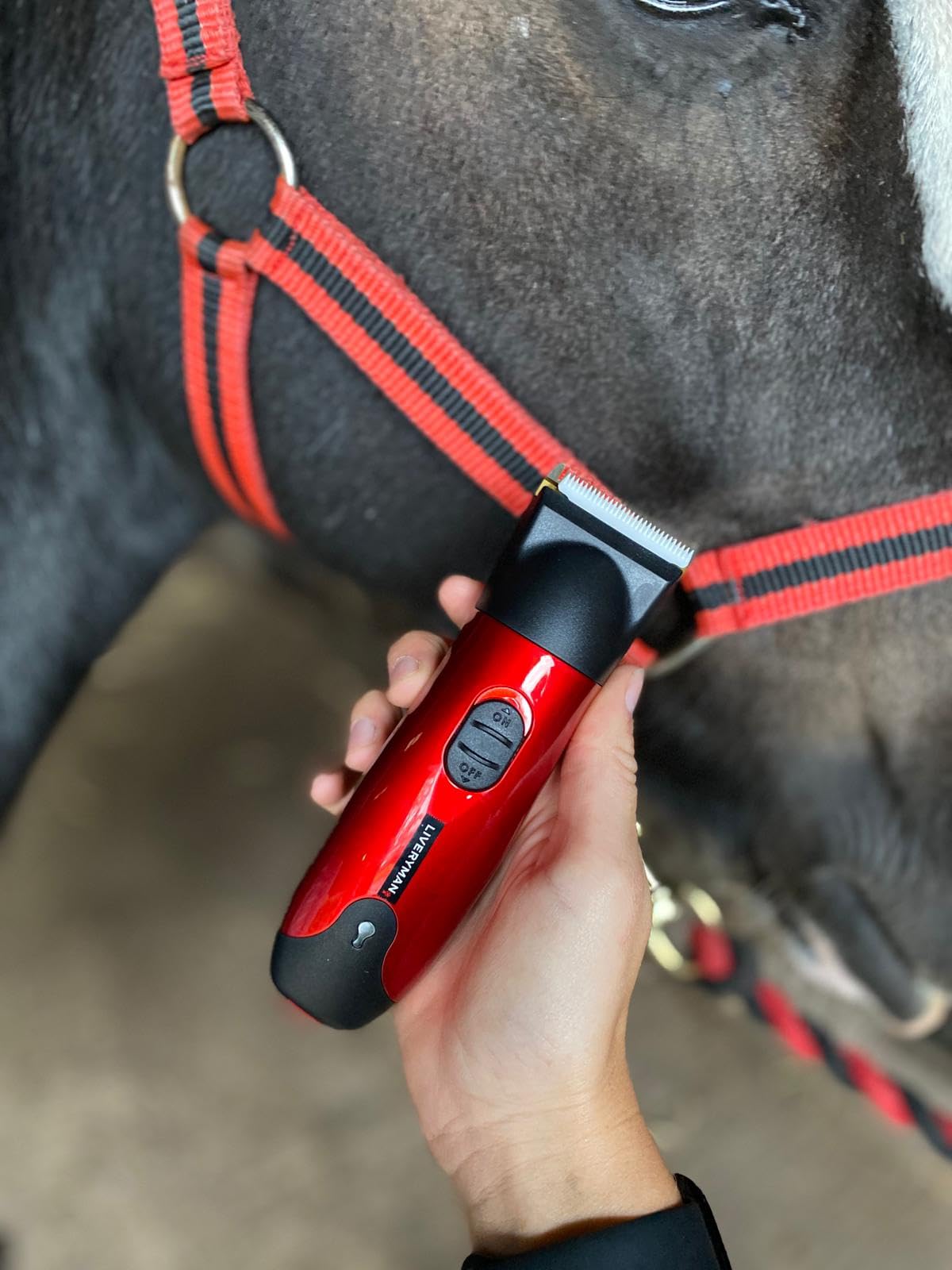 Liveryman Classic Trimmer Beauty and Personal Care Liveryman