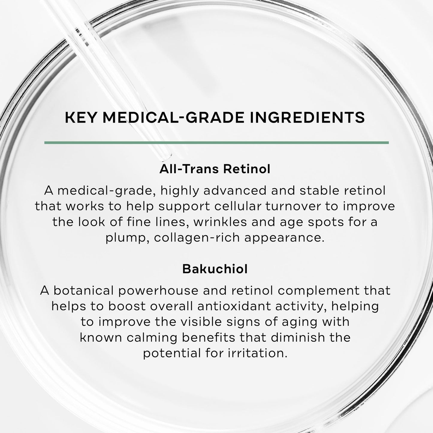 Replenix Anti-Aging Retinol + Bakuchiol Concentrated Face Serum, Medical-Grade Facial Treatment for Mature, Uneven Skin (1 fl. oz) Beauty & Personal Care Replenix
