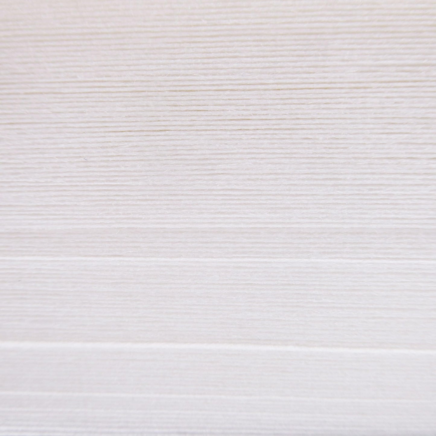 Waxness Extra Comfort Epilating Strips White 2.75 x 7.83 inch 1 Pack of 100 Strips Beauty and Personal Care Wax Necessities