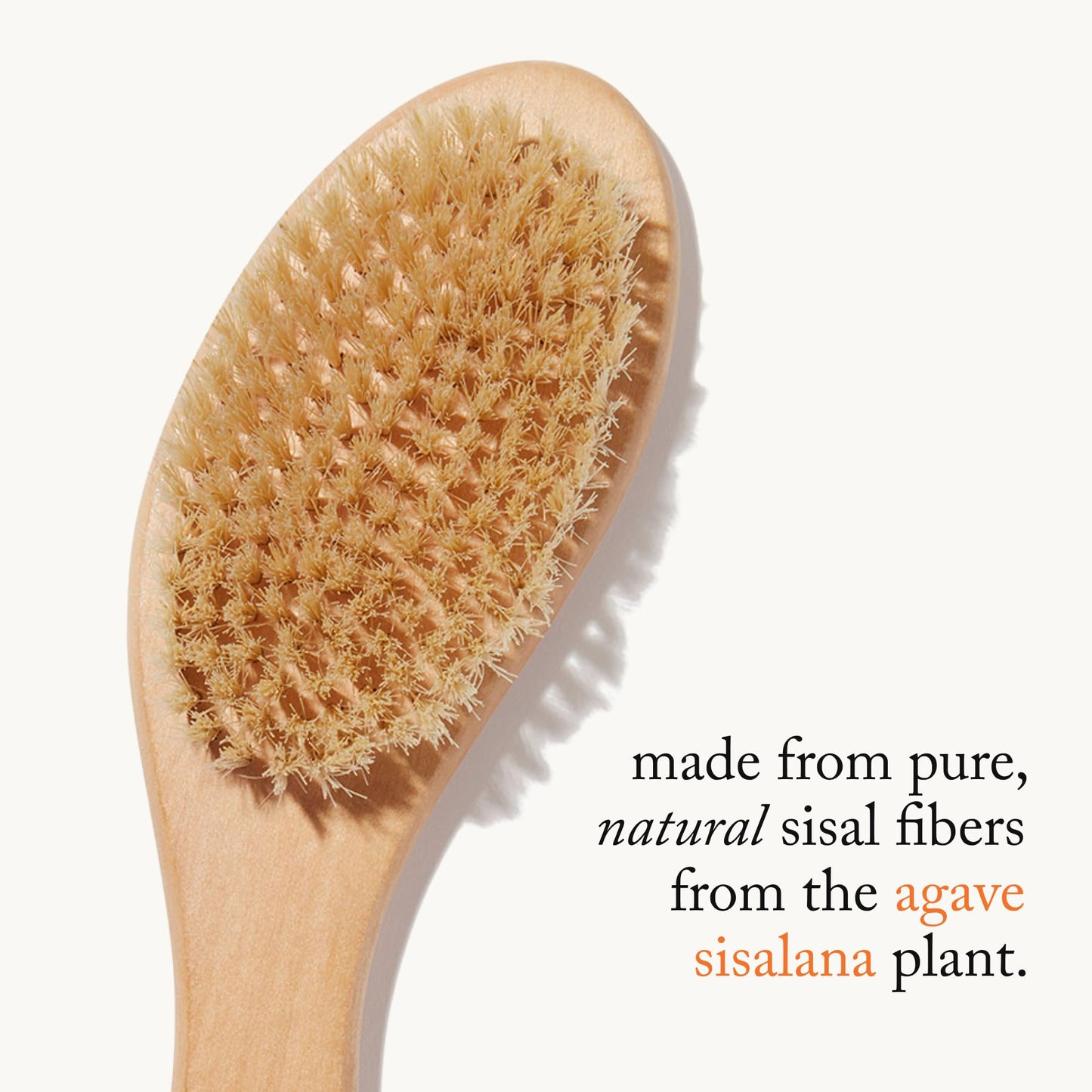 goop Beauty Dry Brush - Detoxifying Body Exfoliator - Wooden Handle with Natural Biodegradable Sisal Fibers - Sweeps Away Dead Skin - FSC Certified Beauty and Personal Care goop
