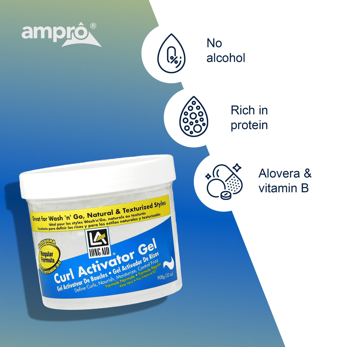 AmPro Long-Aid Activator Gel - Enriched with Aloe Vera, Protein, and Vitamin B Complex - Brings Essential Moisture to Strands - Defines Your Natural