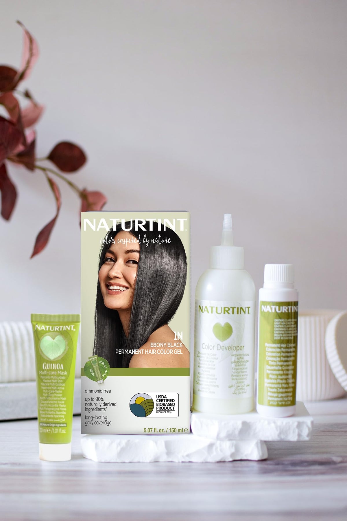 Naturtint 1N Ebony Black Permanent Hair Color (Pack of 6), Ammonia Free, Vegan, Cruelty Free, up to 100% Gray Coverage, Long Lasting Results Beauty & Personal Care Naturtint