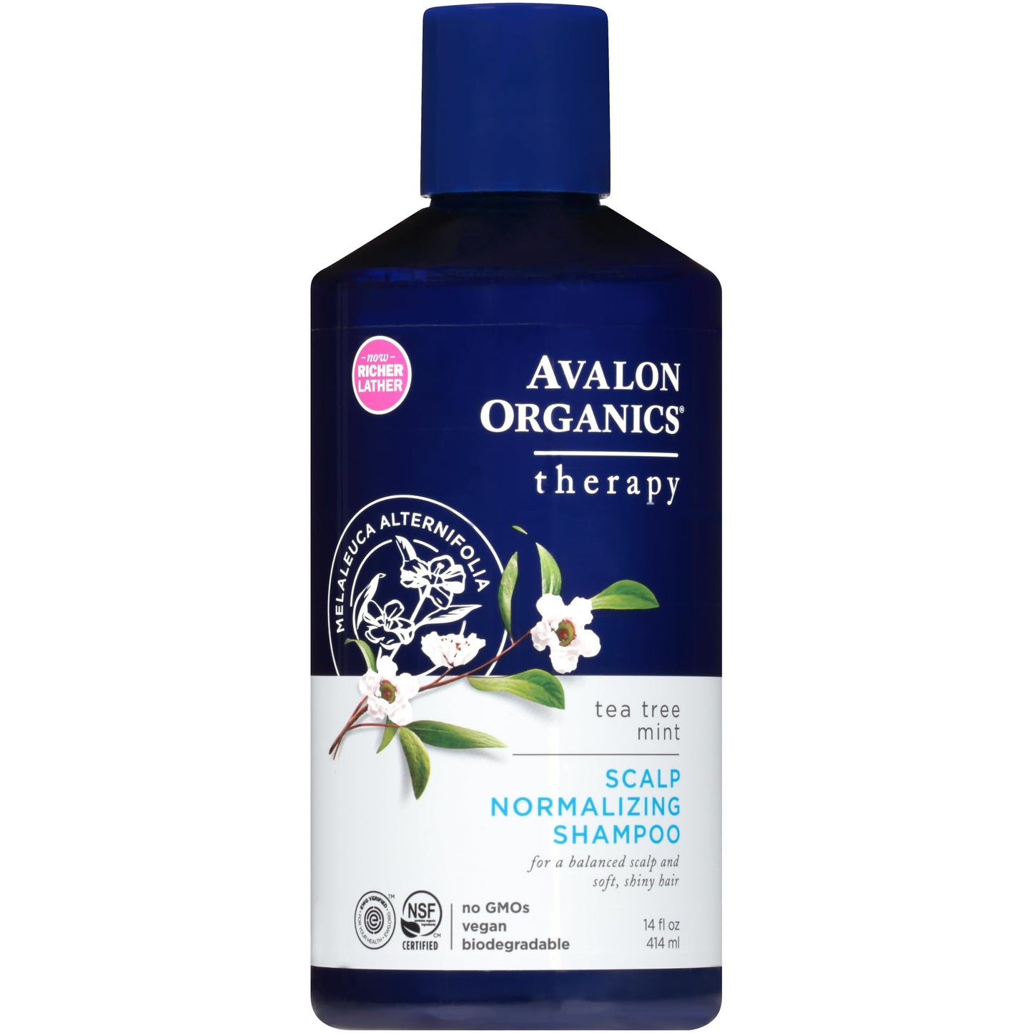 Avalon Organics Therapy Scalp Normalizing Shampoo, Tea Tree Mint, 14 Oz Beauty & Personal Care Avalon Organics
