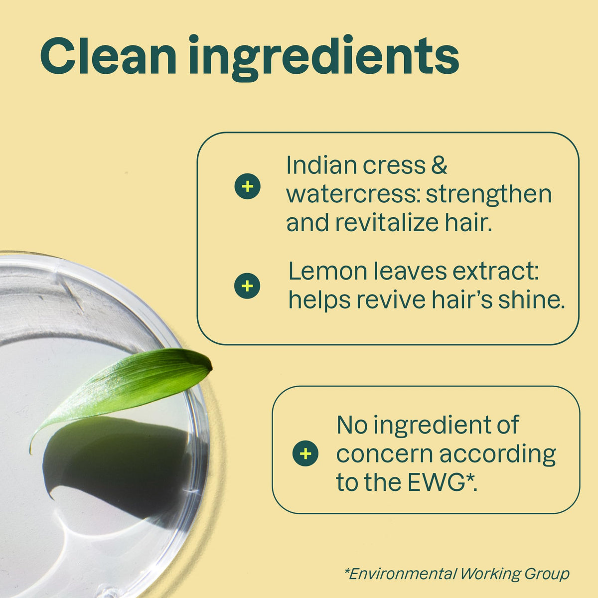 ATTITUDE Clarifying Hair Shampoo, EWG Verified, Restores Shine, Naturally Derived Ingredients, Vegan and Plant Based, Lemon Leaves and White Tea, 16 Beauty & Personal Care ATTITUDE