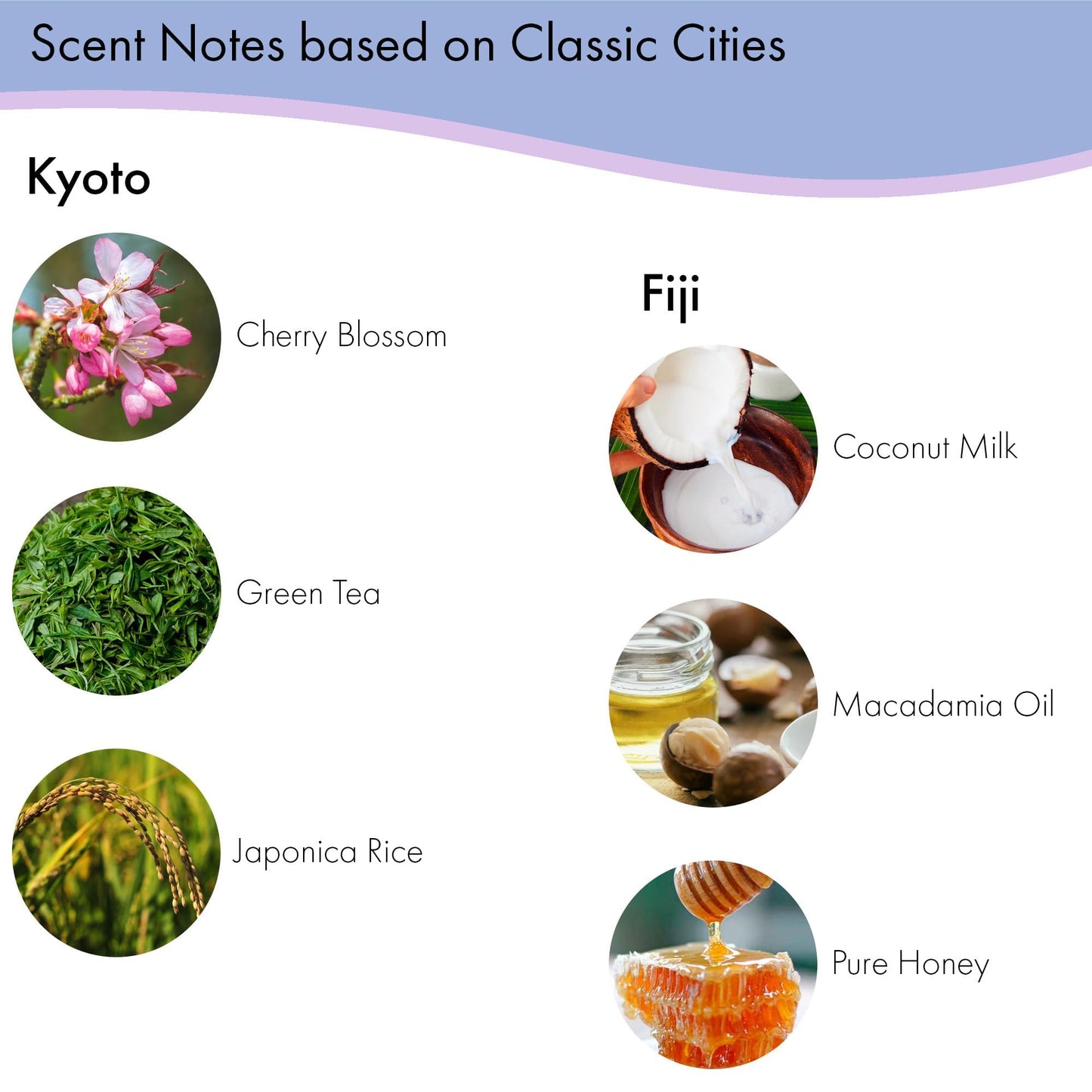 Destination Soap Sampler- Set of 8 Exfoliating Spa Soap Bars- Enriched with Shea Butter and Essential Oils- Sicily, Kyoto, London, Paris, Morocco Beauty & Personal Care Greenwich Bay