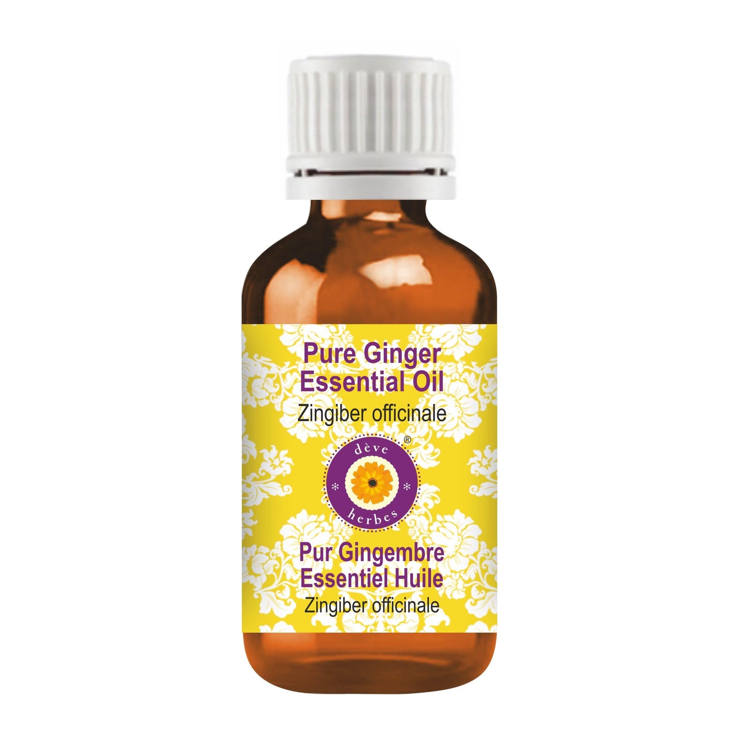 dève herbes Ginger Essential Oil (Zingiber officinale) Pure - Non-Sticky - Non-Greasy - Lightweight - Men & Women - All Skin Types - Steam Distilled Beauty and Personal Care dève herbes
