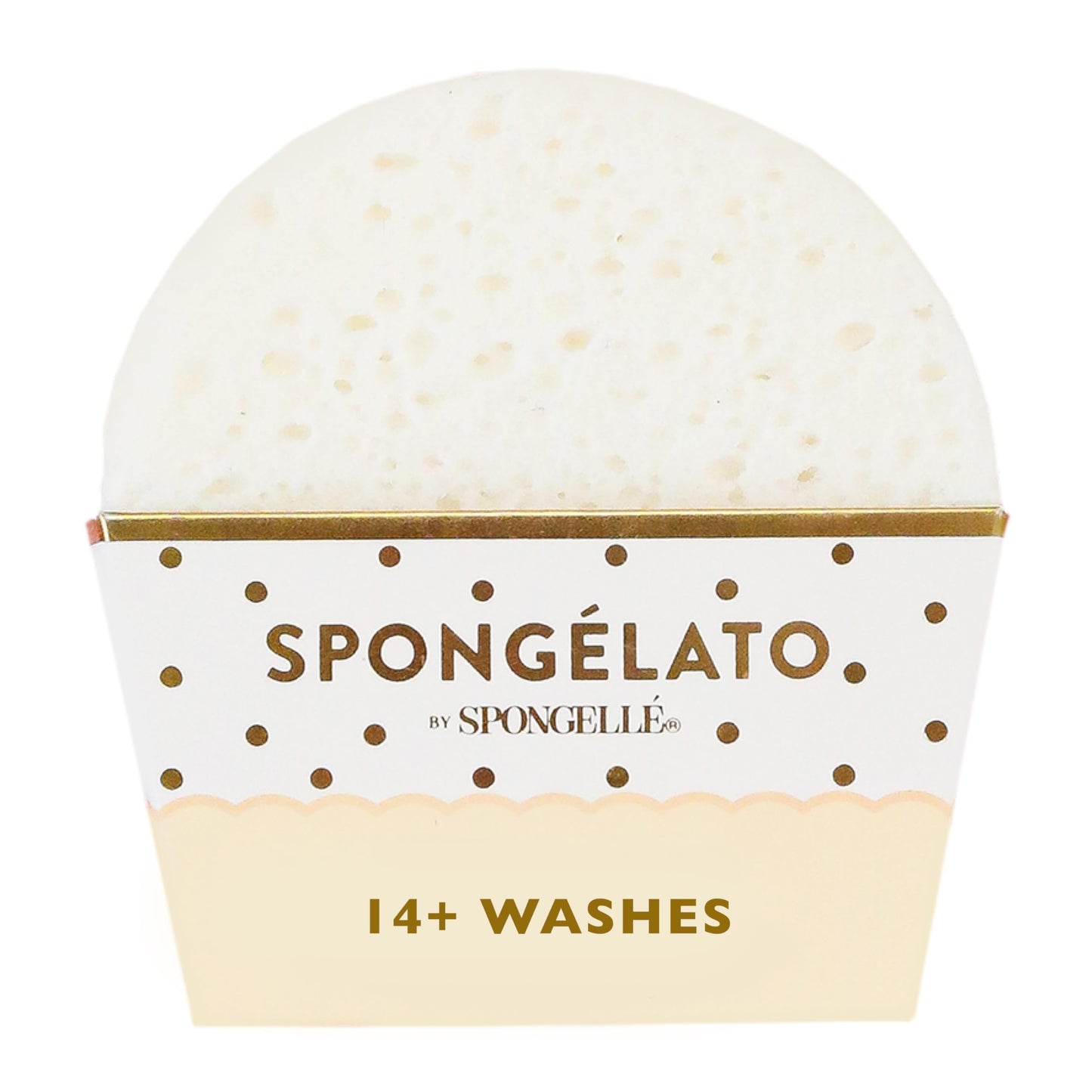 Spongellé Fior de Latte (Vanilla) Spongélato Bath Sponge - Built-In Body Wash & Body Scrubber, Shower Loofah Sponge for Women - 14+ uses Beauty and Personal Care SPONGELLÉ