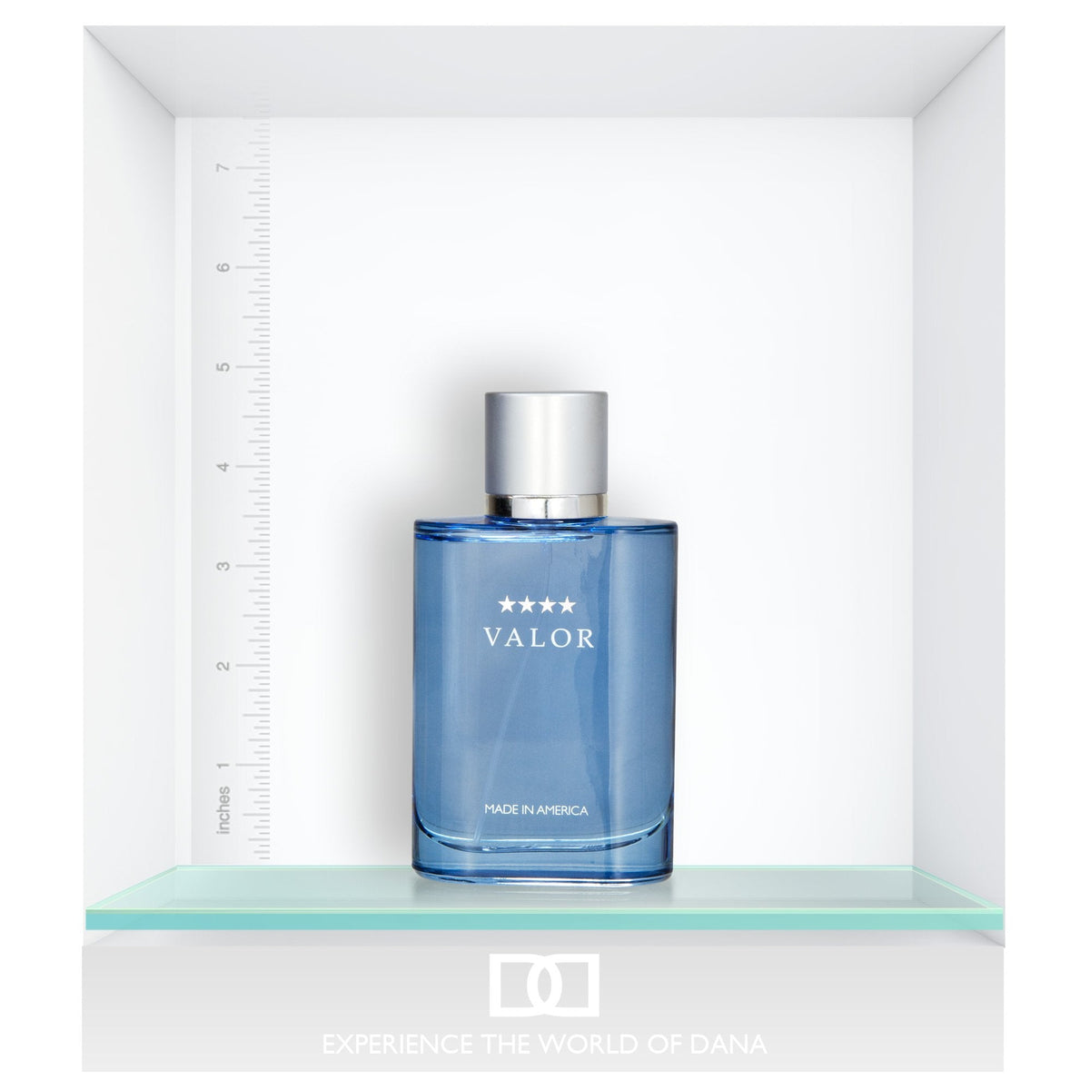 Valor by Dana 3.4 oz Eau De Toilette Spray for Men Beauty & Personal Care Dana