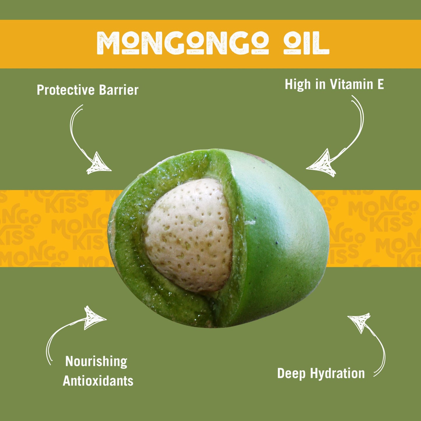 LIP BALM Mongo Kiss 6-Pack (6 tubes) Vanilla Honey by Eco Lips 100% Organic Beeswax & Cocoa Butter Lip Care with Organic Mongongo Oil - Soothe Beauty & Personal Care Eco Lips