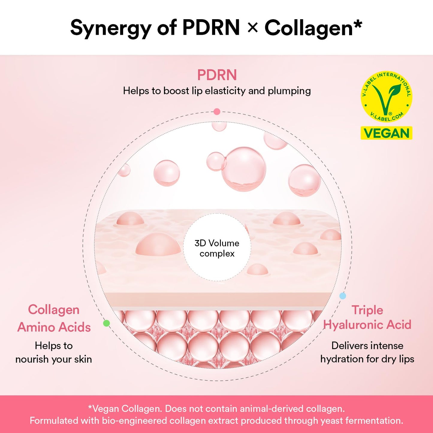 Abib PDRN Vegan Collagen Lip Mask Glazed Jelly 0.38 fl oz - Korean Lip Butter Balm Overnight Sleeping Mask Hydrating Care Moisturizer Treatment Beauty and Personal Care Abib