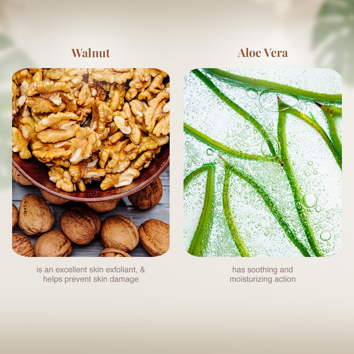 VLCC Walnut Face Scrub(80gm) Beauty & Personal Care VLCC
