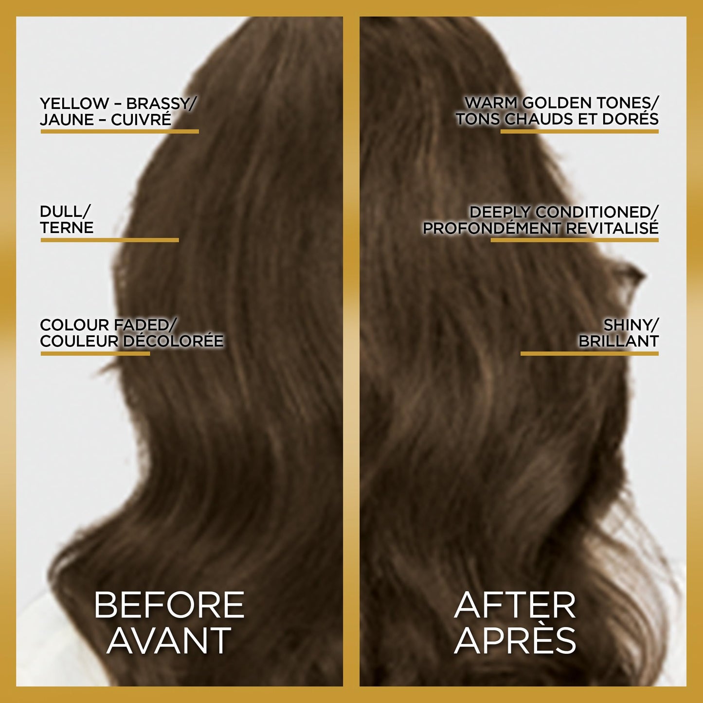 L'Oreal Paris Le Color One Step Toning Hair Gloss, Rich Brunette, 4 Ounce Beauty & Personal Care L'Oreal Paris