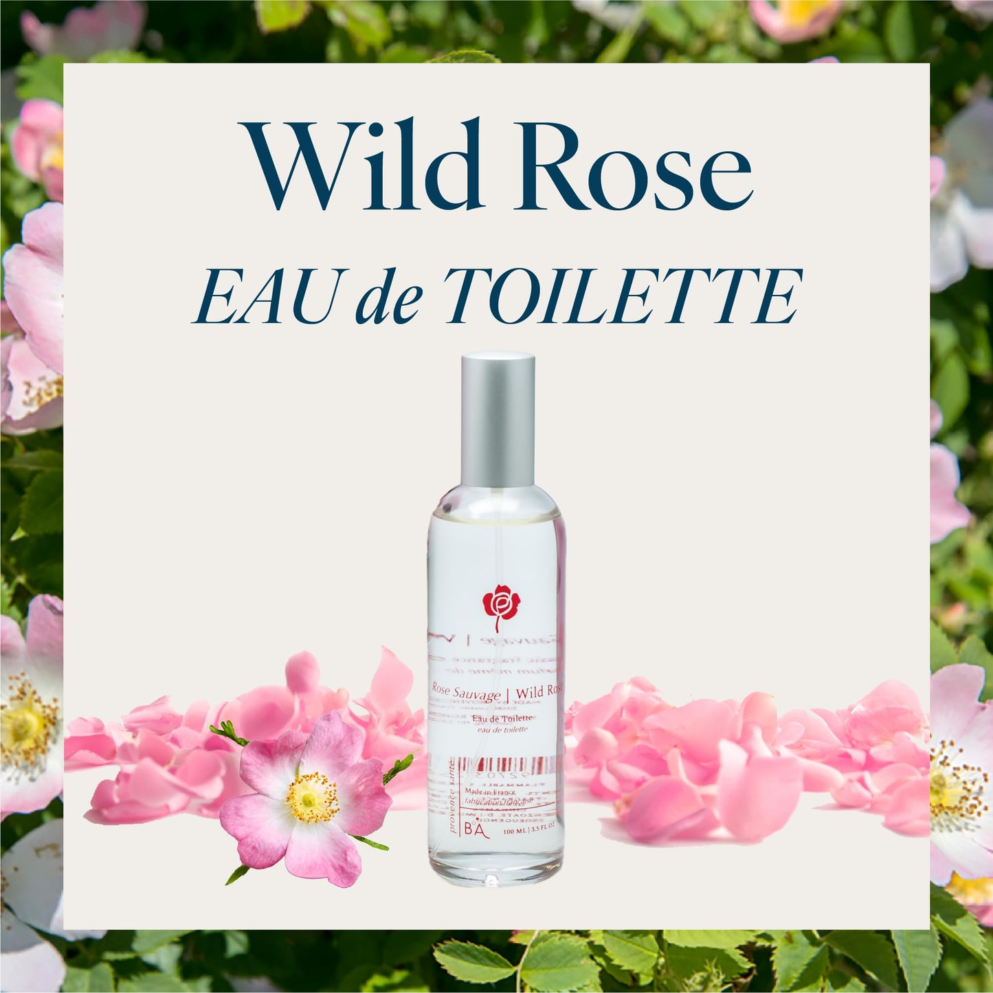 Provence Sante Eau de Toilette Spray - Luxury Long-Lasting Fragrance - Wild Rose Scent - Elegant Perfume Gift - Made in France - 3.5 Oz Beauty & Personal Care Provence Sante