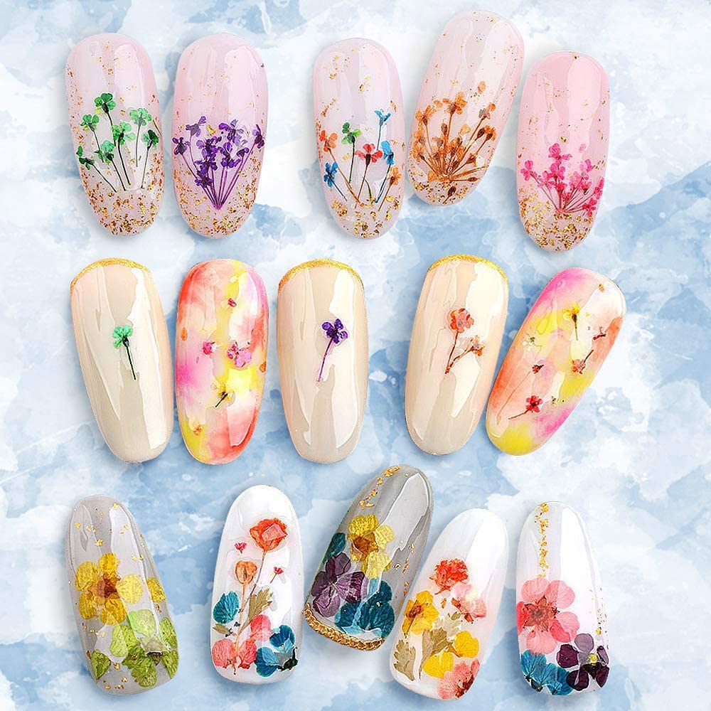 216PCS Dried Flowers - Nail Art Accessories Kits, 57 Color Lovely Natural Dried Flowers for Resin Molds and Nails, YWLI Beauty & Personal Care YWLI