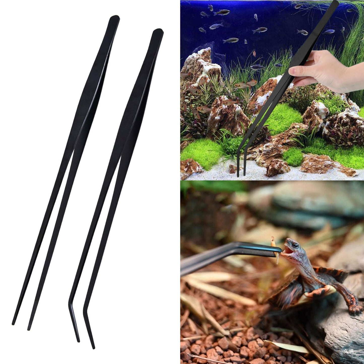 COPLKY Stainless Steel Aquarium Tweezers Set 27cm Practical Plant & Reptiles Feeding Tool Straight and Curved Head Practical Beauty and Personal Care COPLKY