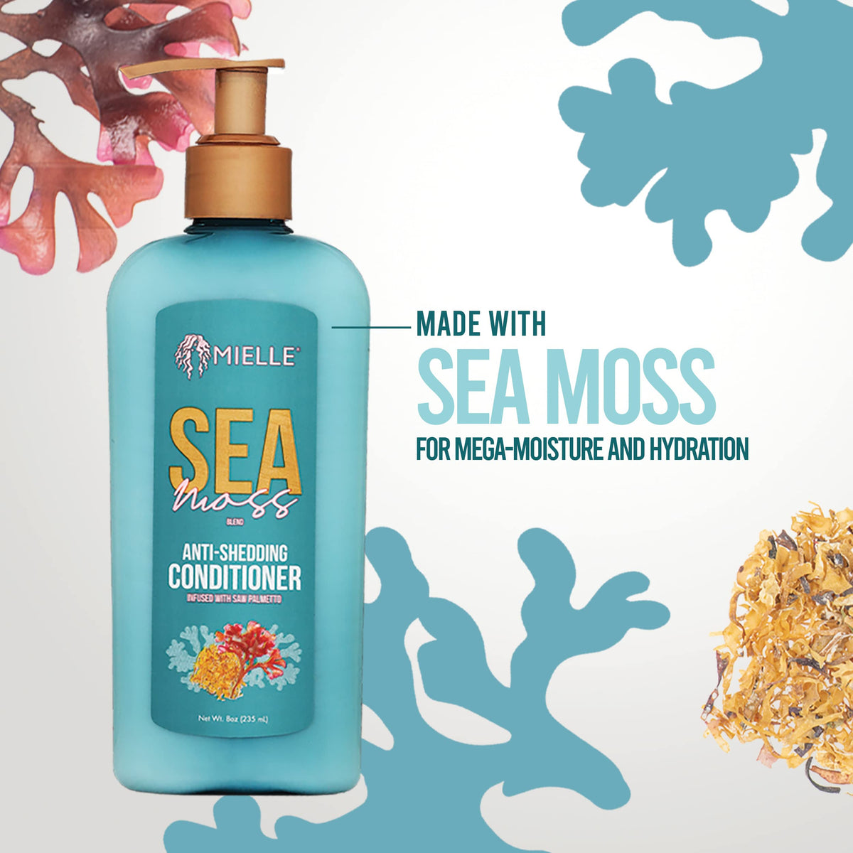 Mielle Organics Sea Moss Anti-Shedding Hair Conditioner - Hydrating Conditioner for Dry Hair - Fortifies Strands for Reduced Shedding - Improves Look