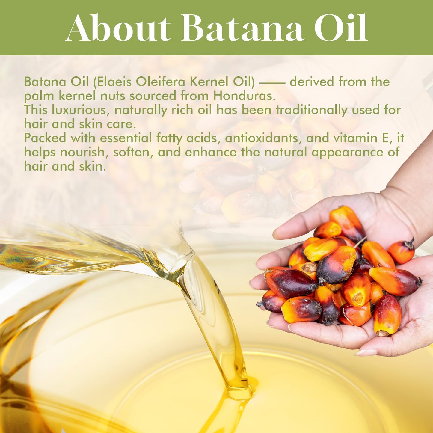 Dolahair Batana Oil for Hair, Scalp & Skin, Natural Elaeis Oleifera Kernel Oil, Moisturizing Hair Oil for Dry Hair, Lightweight Conditioning Oil Beauty and Personal Care Dolahair