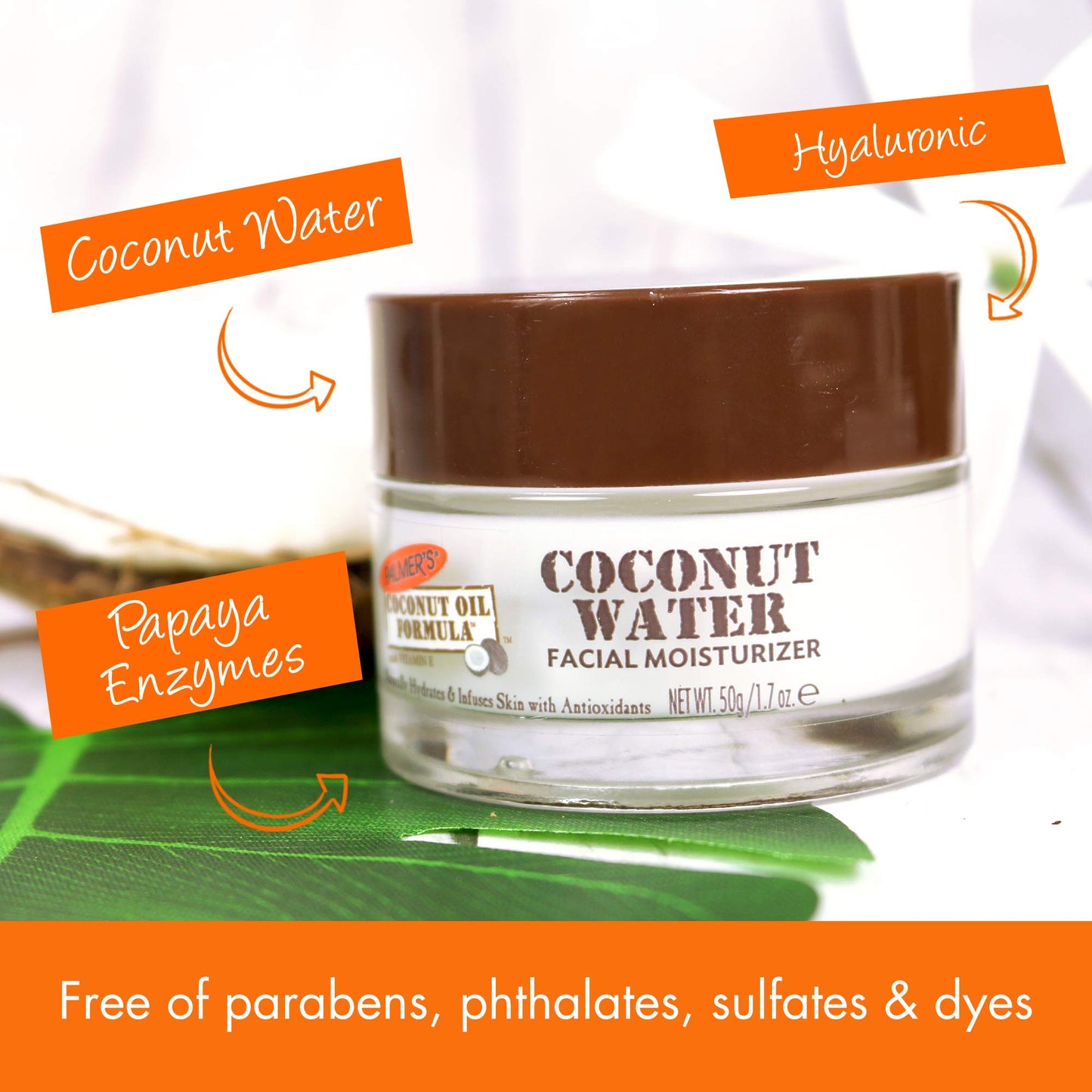Palmer's Coconut Oil Formula Coconut Water Face Moisturizer, 1.7 Ounce Jar Beauty & Personal Care Palmer's
