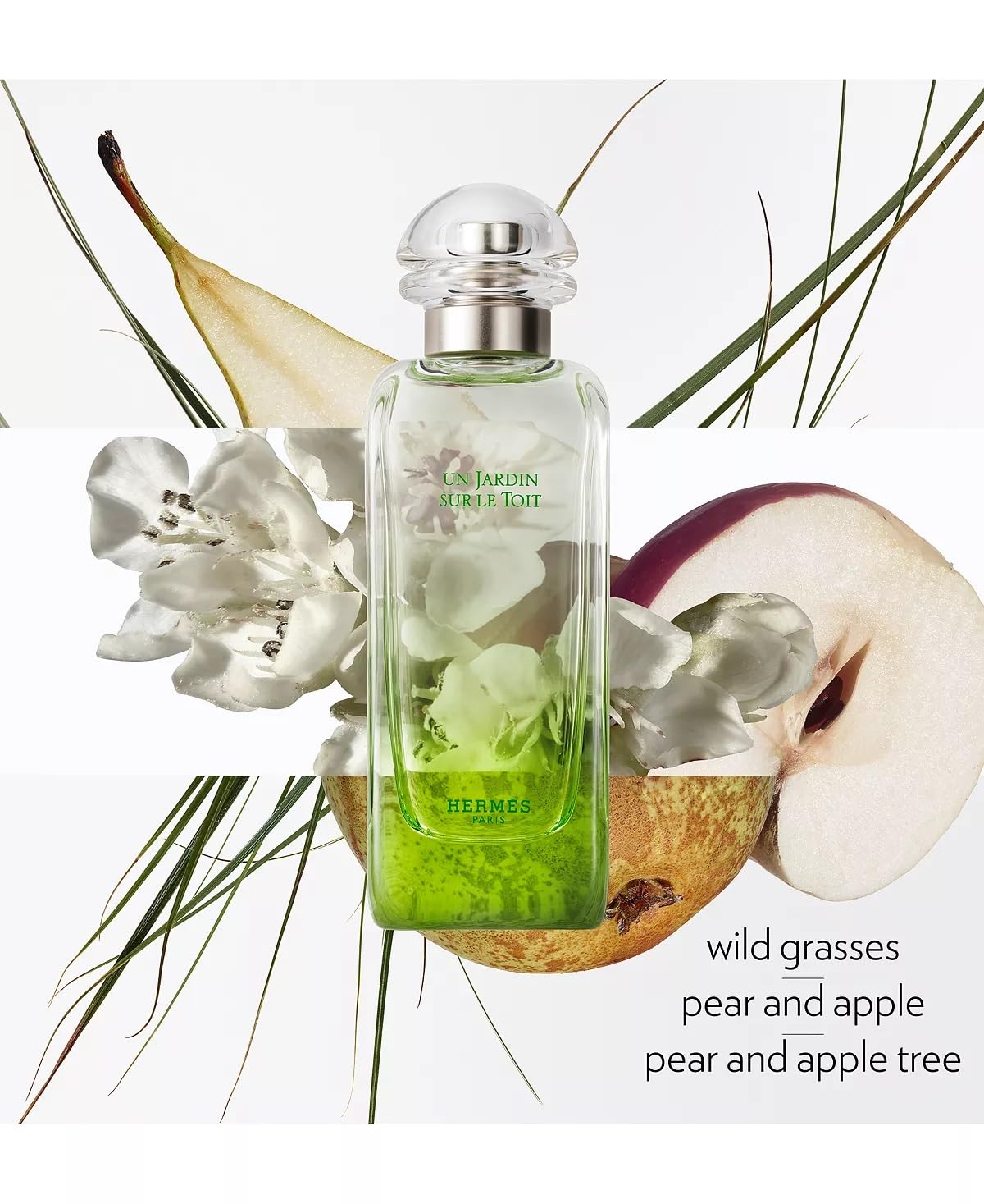 Hermes Hermès Un Jardin Sur Le Toit for Unisex Eau de Toilette Spray, 3.3 Ounce Beauty & Personal Care Hermès