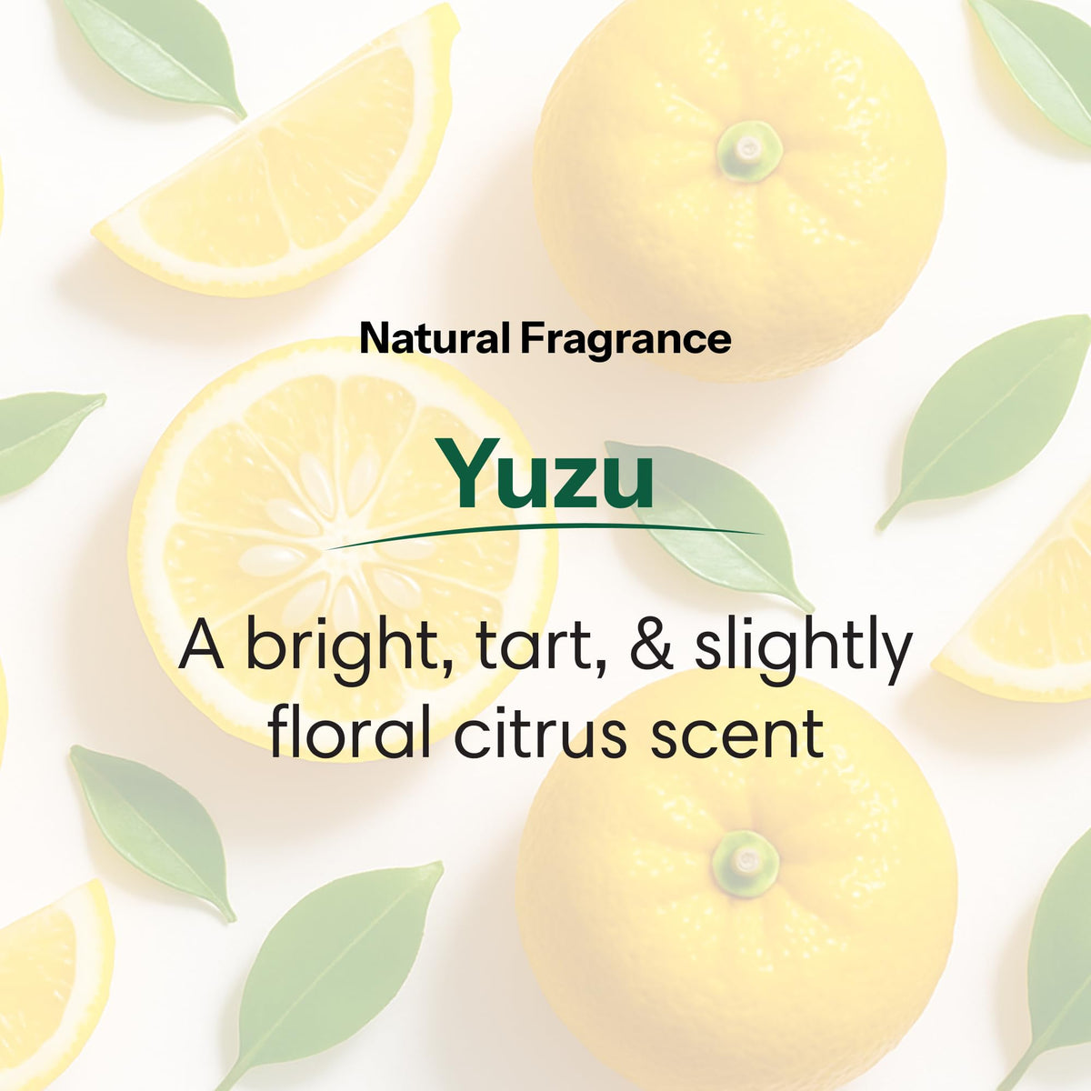 ShiKai Daily Moisturizing Shower Gel (Yuzu, 12oz, Pack of 3) | Gentle Formula | Aloe Vera & Oatmeal for Soft, Healthy Skin | Dry Skin Relief Beauty & Personal Care ShiKai