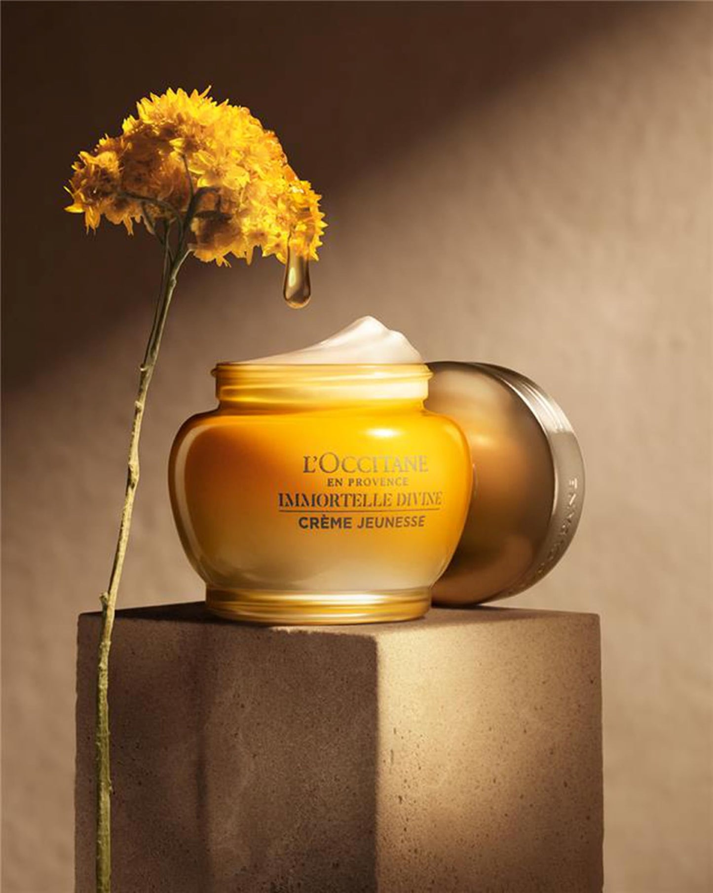 L'Occitane Immortelle Divine Cream, Anti-Aging Face Moisturizer, Firms Skin & Helps Reduce Fine Lines, Wrinkles & Age Spots, Daily Hydrating Skincare Beauty & Personal Care L'OCCITANE