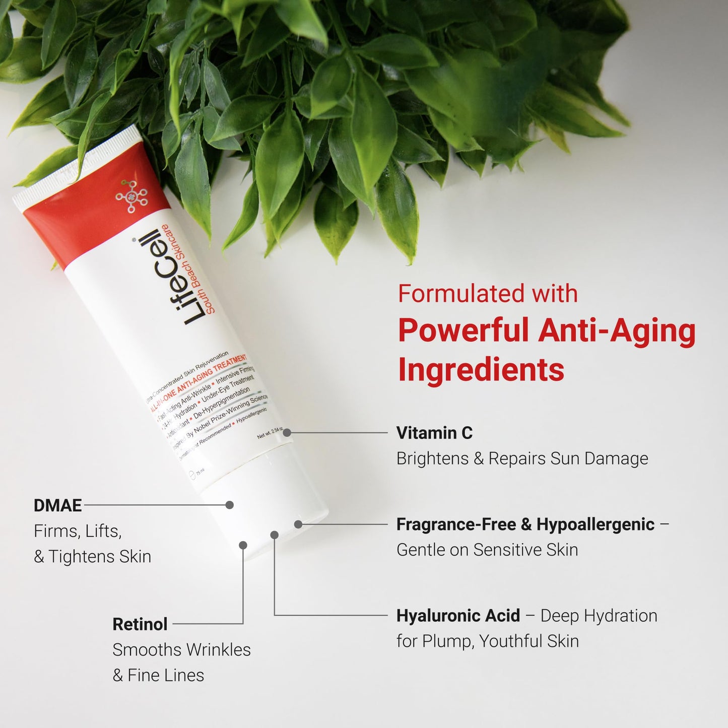 LifeCell All In One Anti-Aging Cream - Reduces Wrinkles, Fine Lines, Dark Circles & Sun Damage - Retinol, Vitamin C, DMAE & Hyaluronic Acid Beauty & Personal Care LifeCell