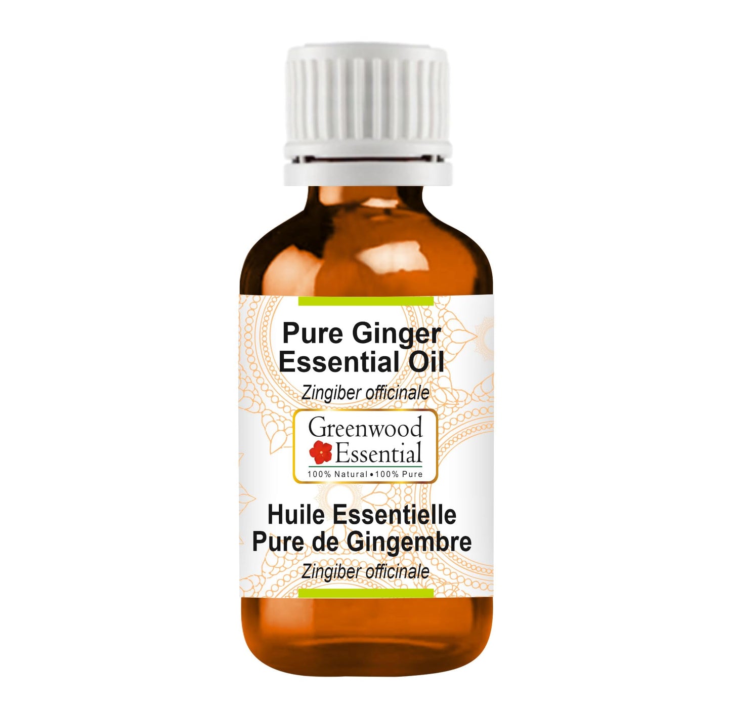 Greenwood Essential Ginger Essential Oil (Zingiber officinale) Pure - Non-Sticky - Non-Greasy - Lightweight - Men & Women - All Skin Types - Steam Beauty and Personal Care Greenwood Essential