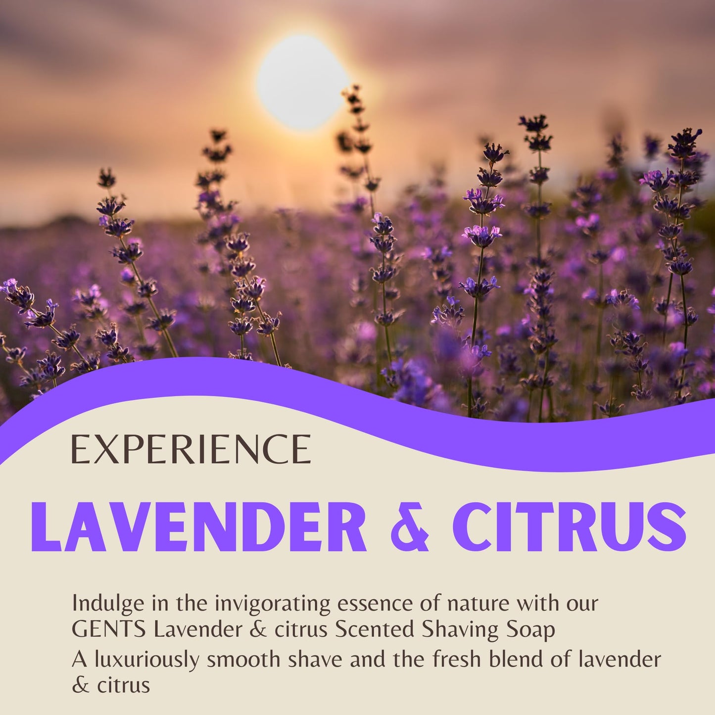 GENTS 97% All Natural Shave Soap Set for Men, Bergamot, Lavender and Citrus and Ocean Driftwood Pack of 3 (3 PACK, BERGAMOT, LAVENDER CITRUS, OCEAN Beauty and Personal Care G.B.S
