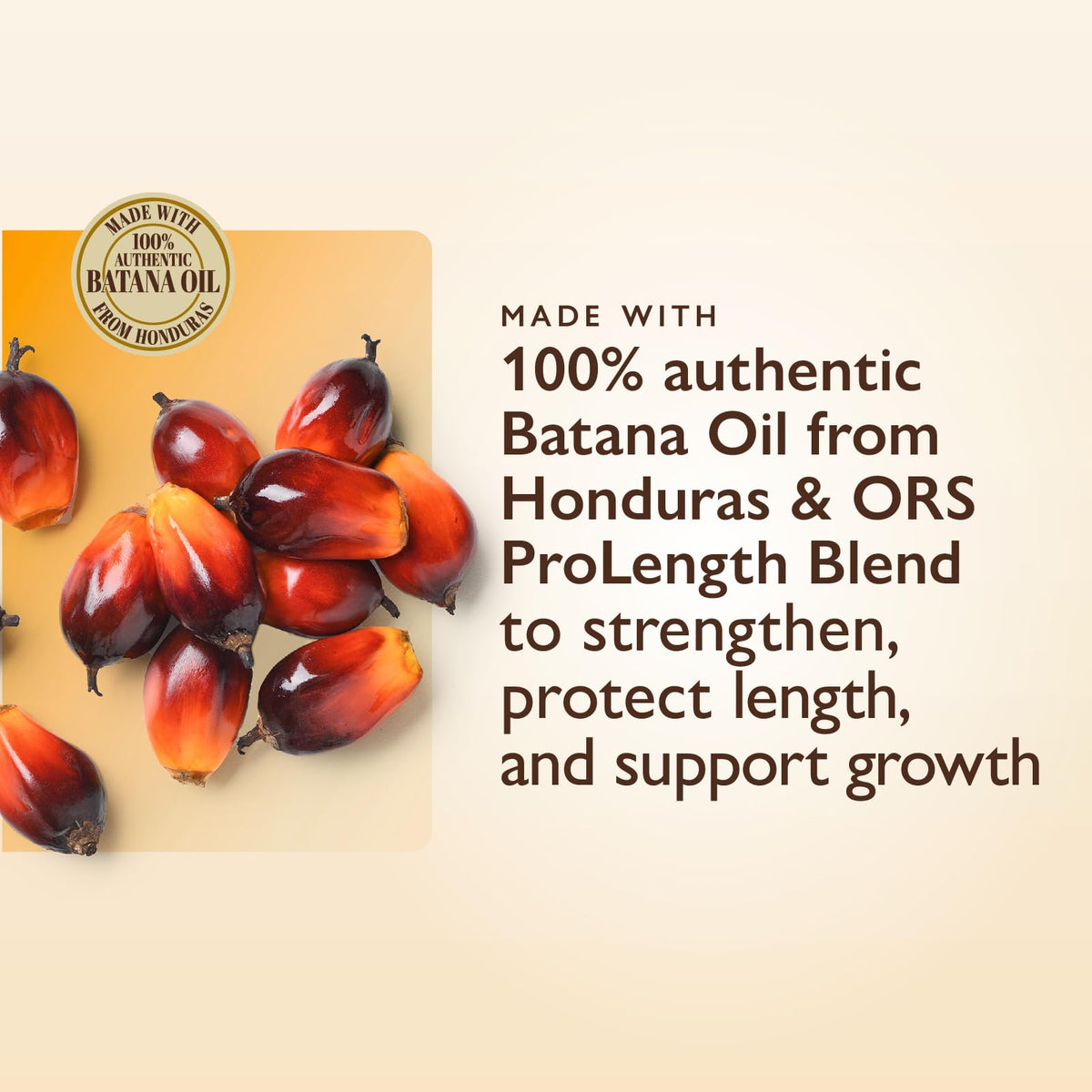 ORS Unapologetic Root to Tip Nourishing Oil 2 Ounces (Pack of 2)